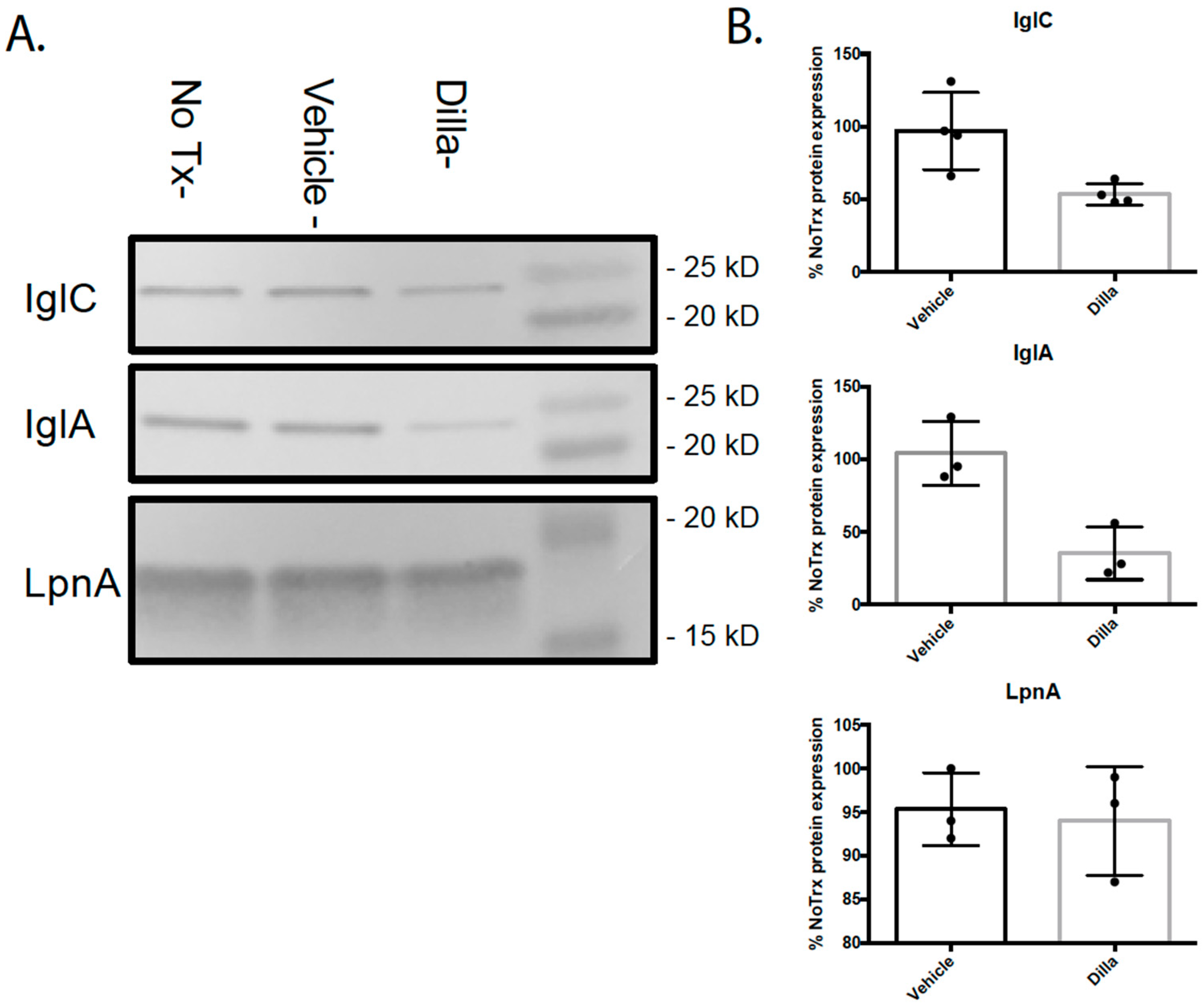 Molecules 30 03995 g008
