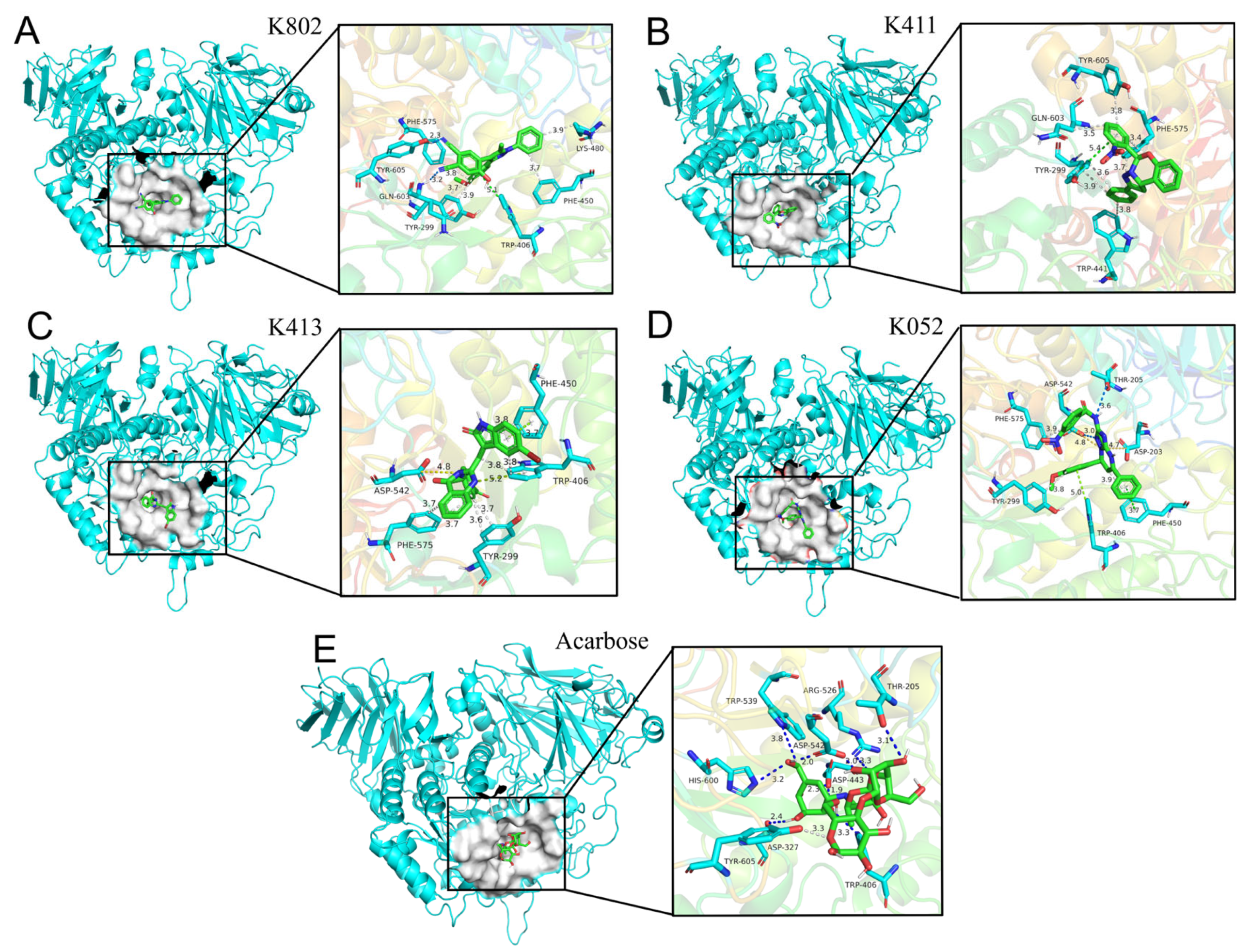 Molecules 30 03996 g009 Molecules 30 03996 g009