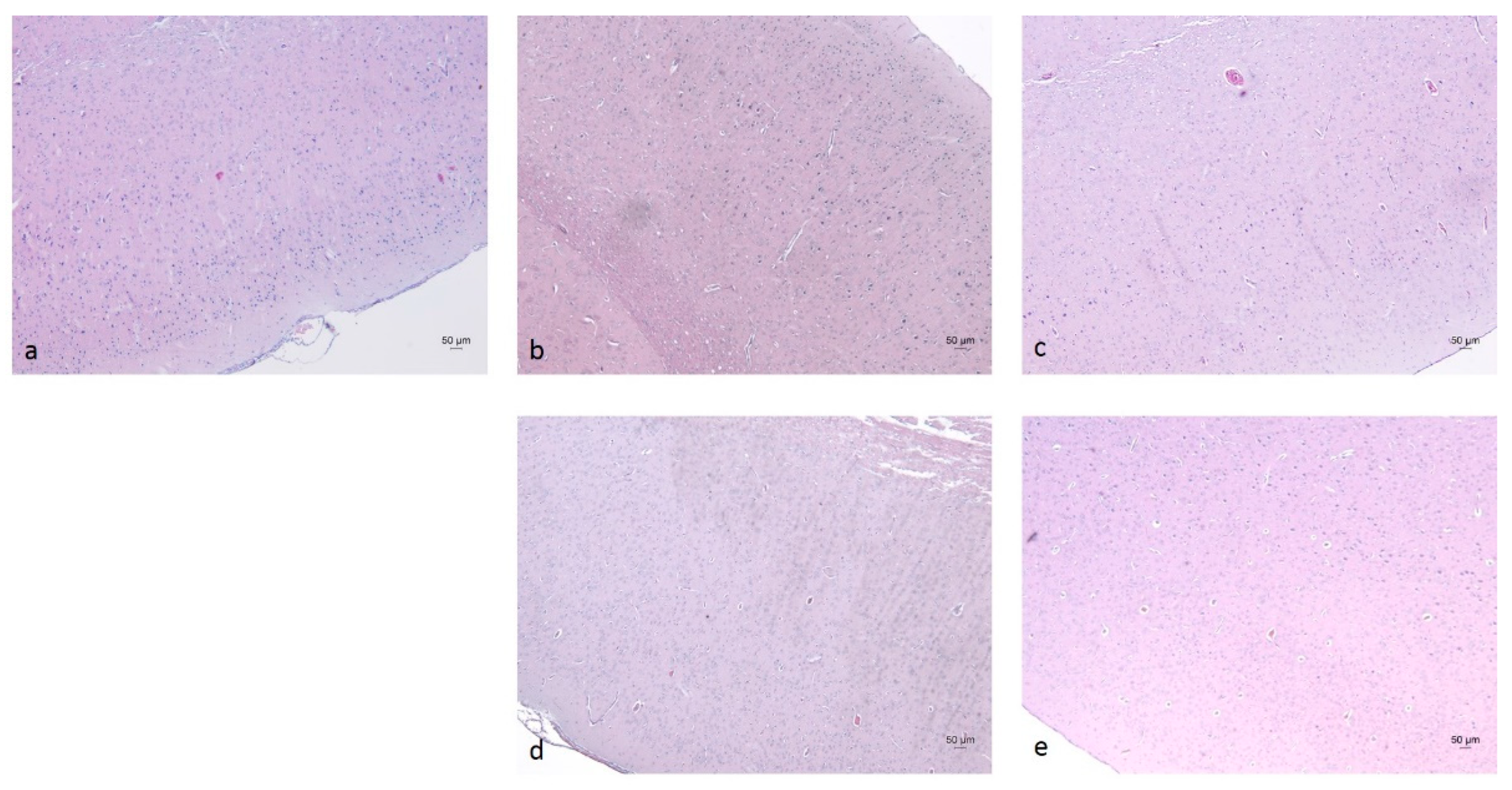 Molecules 30 04007 g006 Molecules 30 04007 g006
