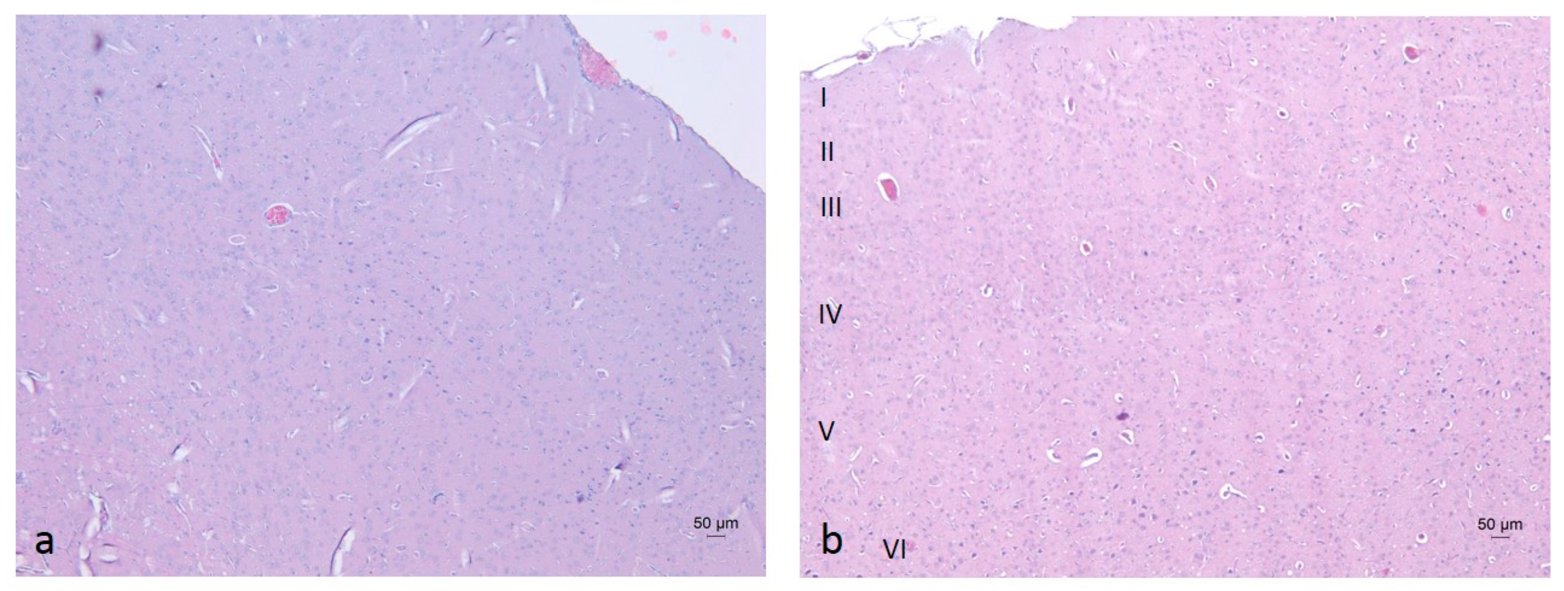 Molecules 30 04007 g007 Molecules 30 04007 g007