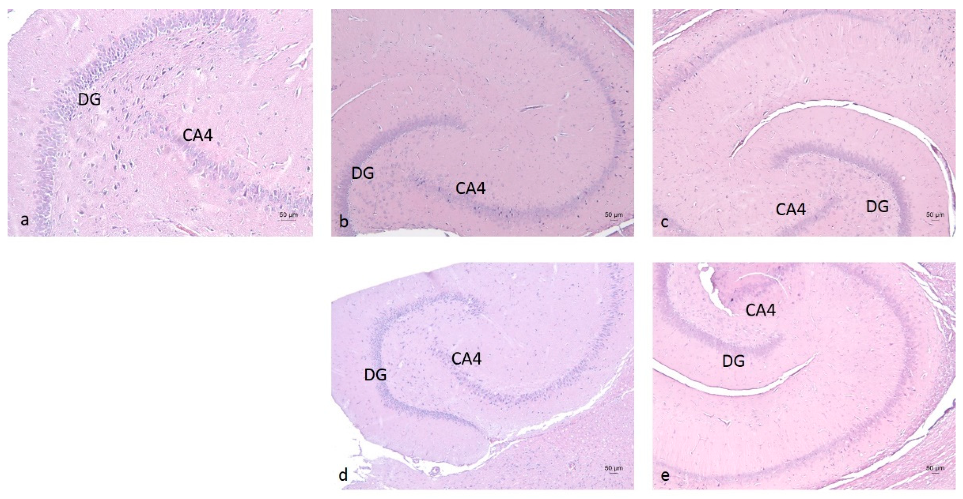 Molecules 30 04007 g008 Molecules 30 04007 g008