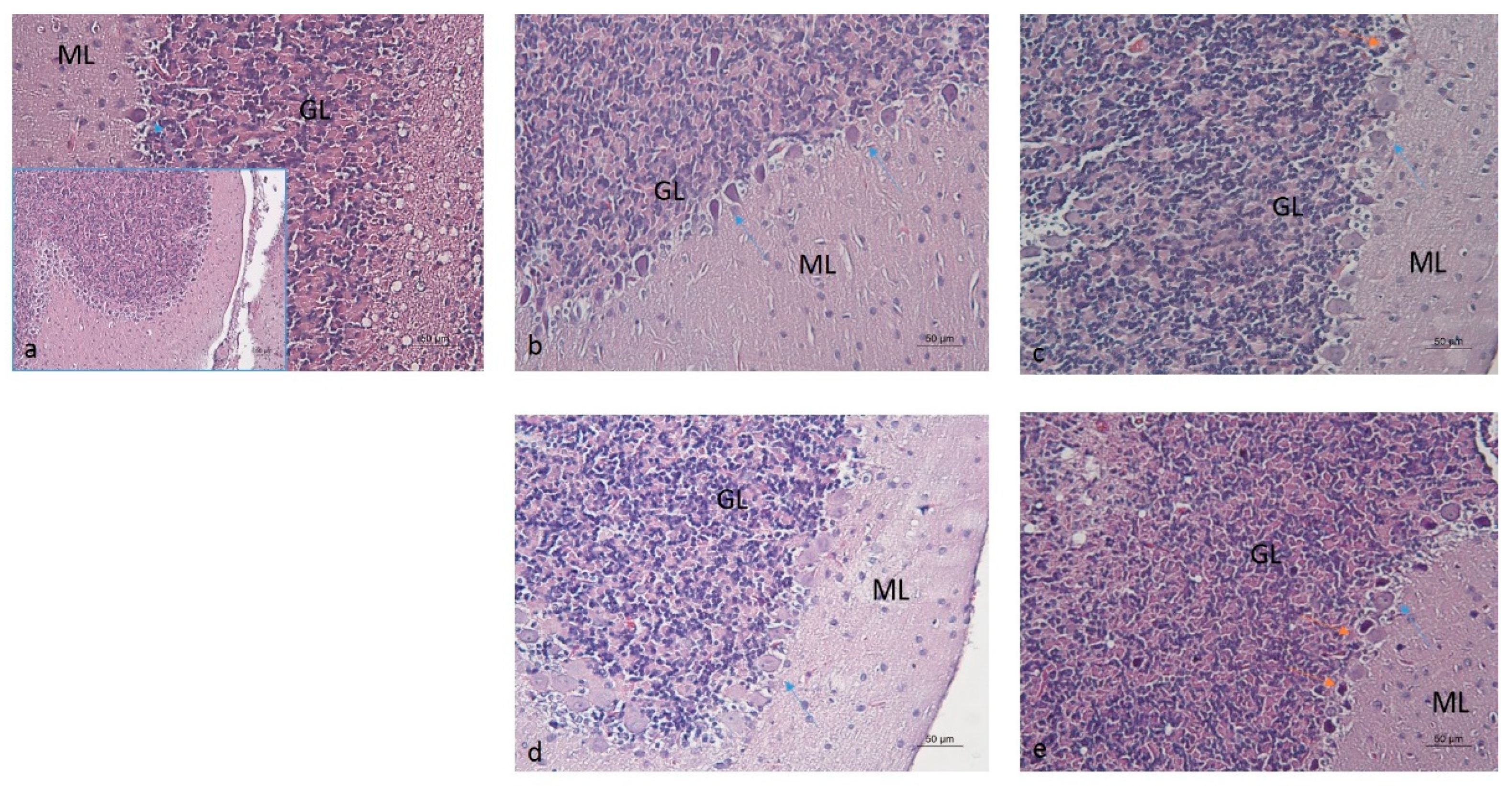 Molecules 30 04007 g009 Molecules 30 04007 g009