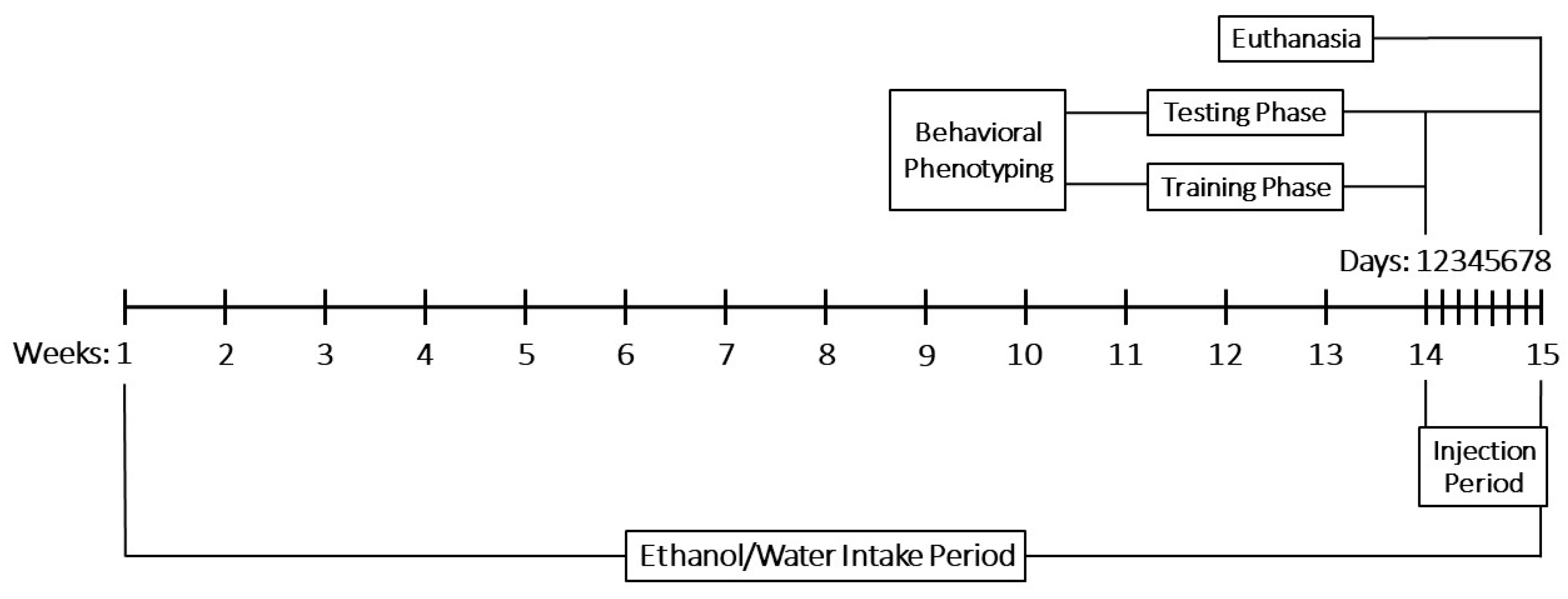Molecules 30 04007 g012 Molecules 30 04007 g012