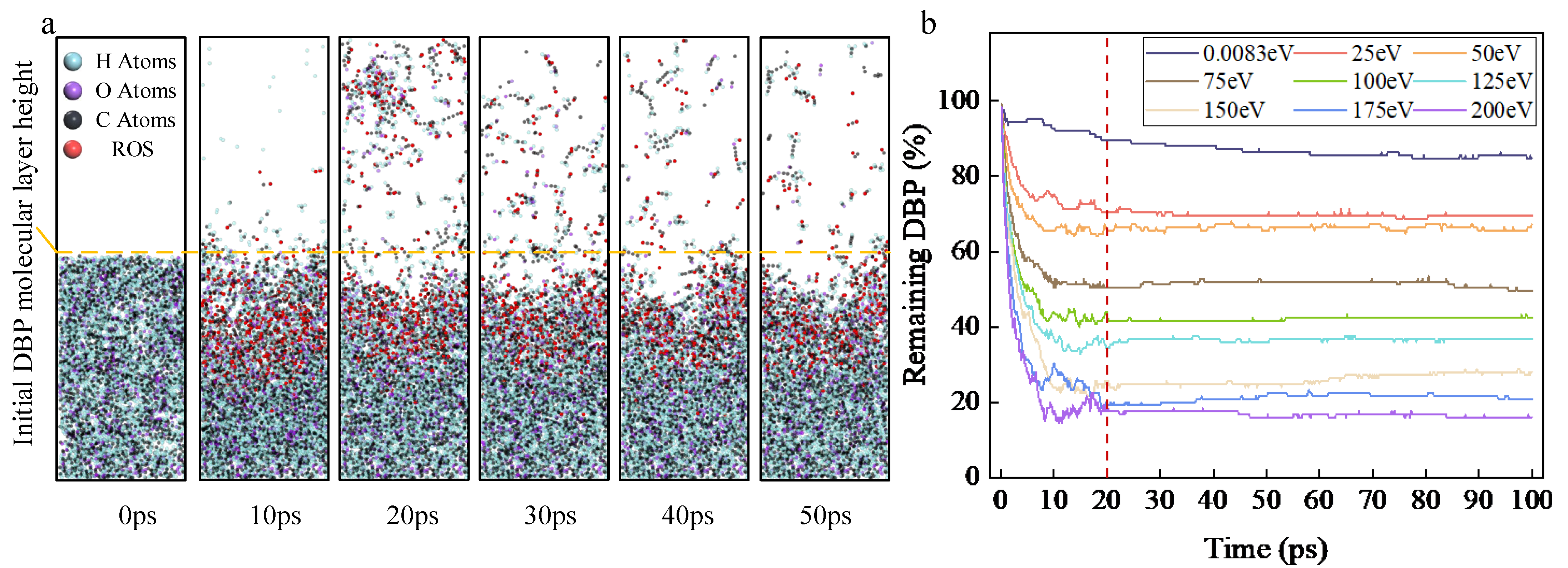 Molecules 30 04010 g001