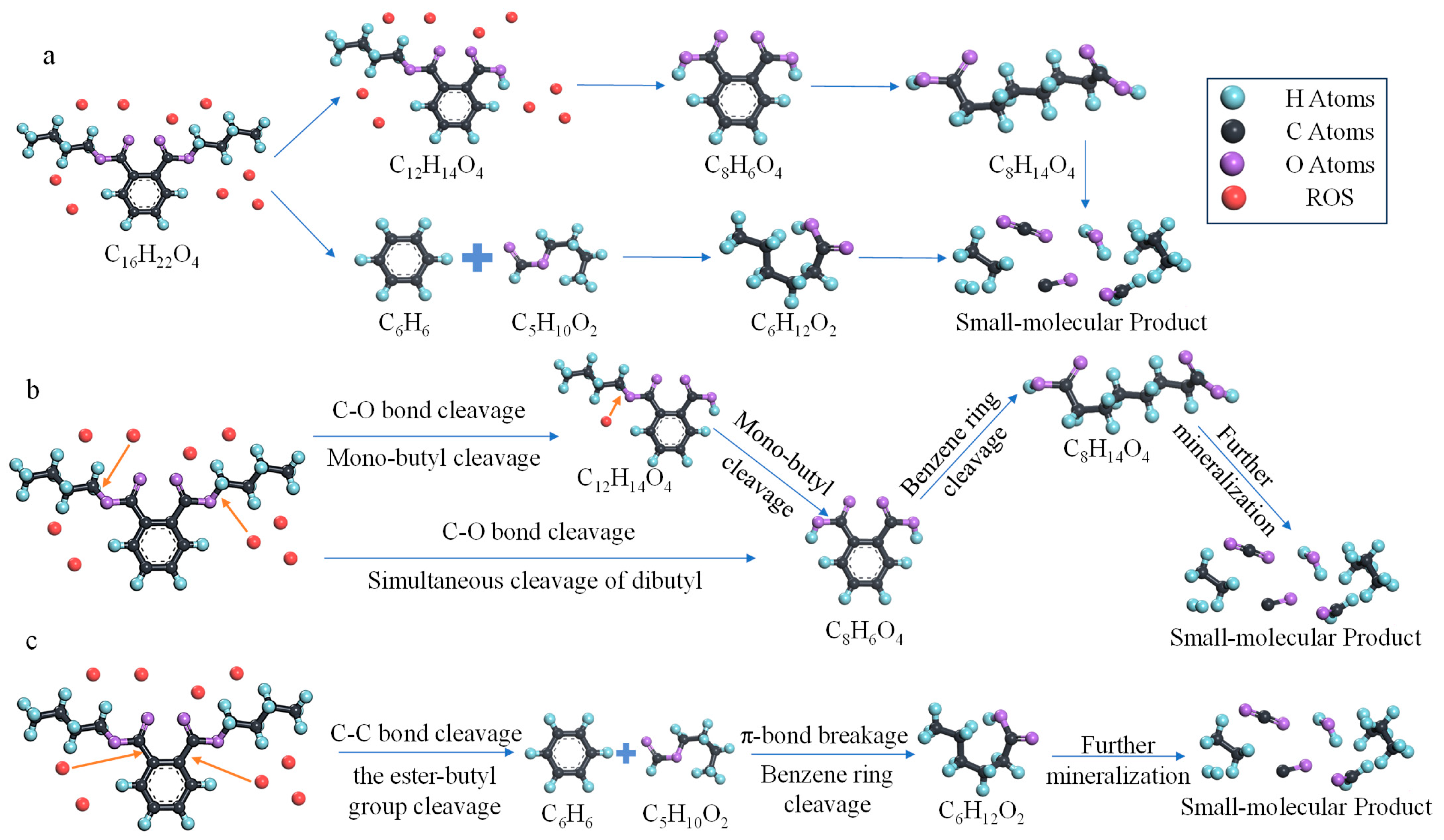 Molecules 30 04010 g002