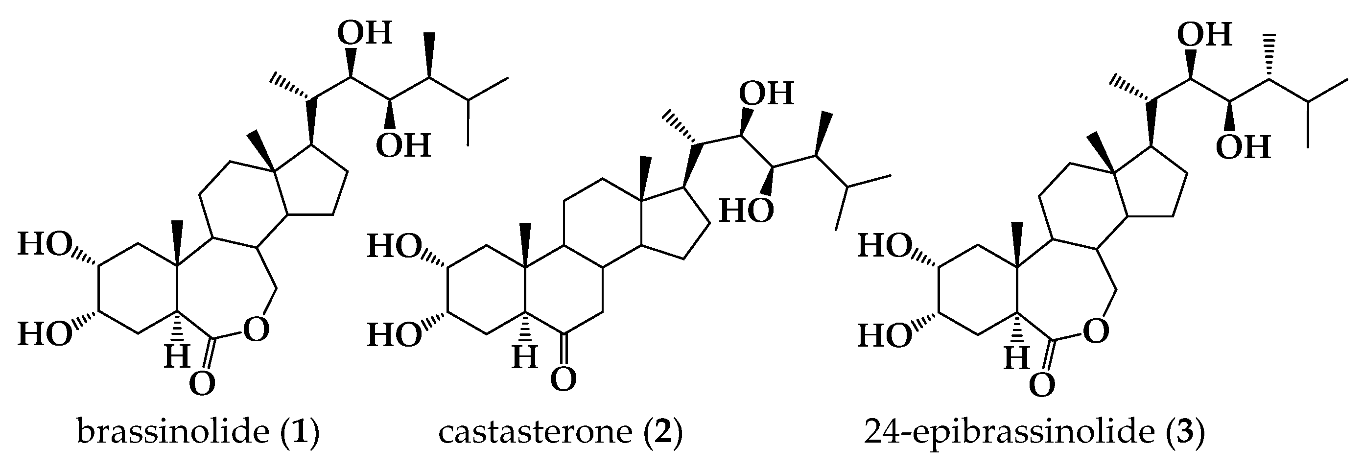 Molecules 30 04011 g001 Molecules 30 04011 g001