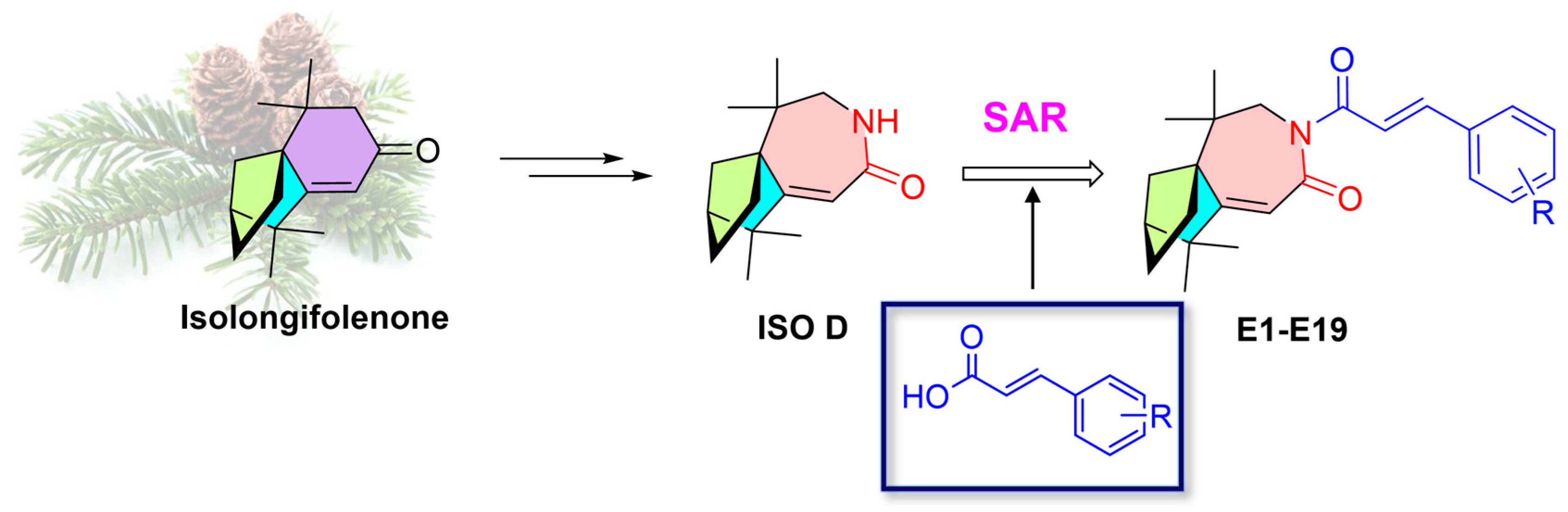 Molecules 30 04013 g002 Molecules 30 04013 g002