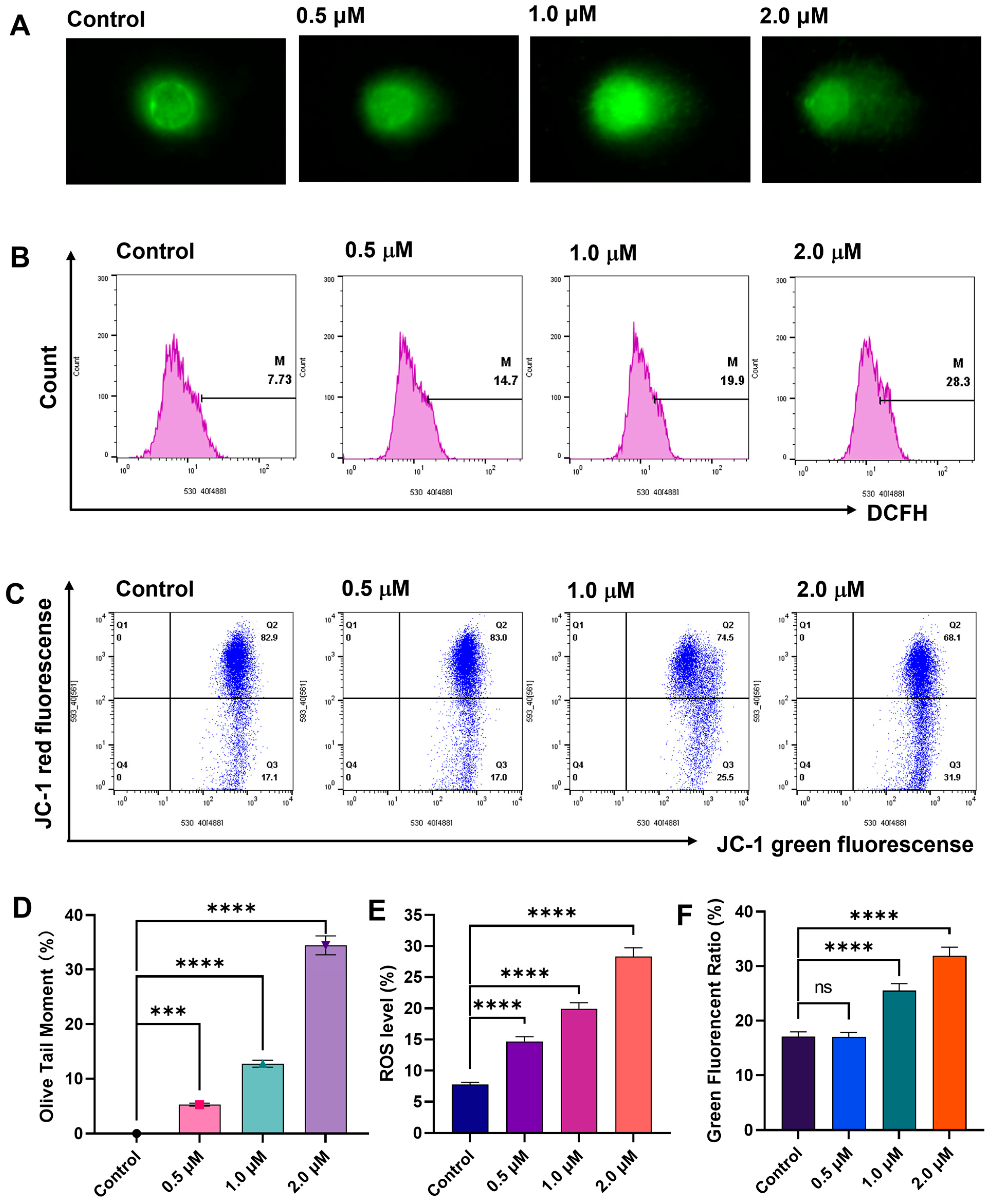 Molecules 30 04013 g004 Molecules 30 04013 g004
