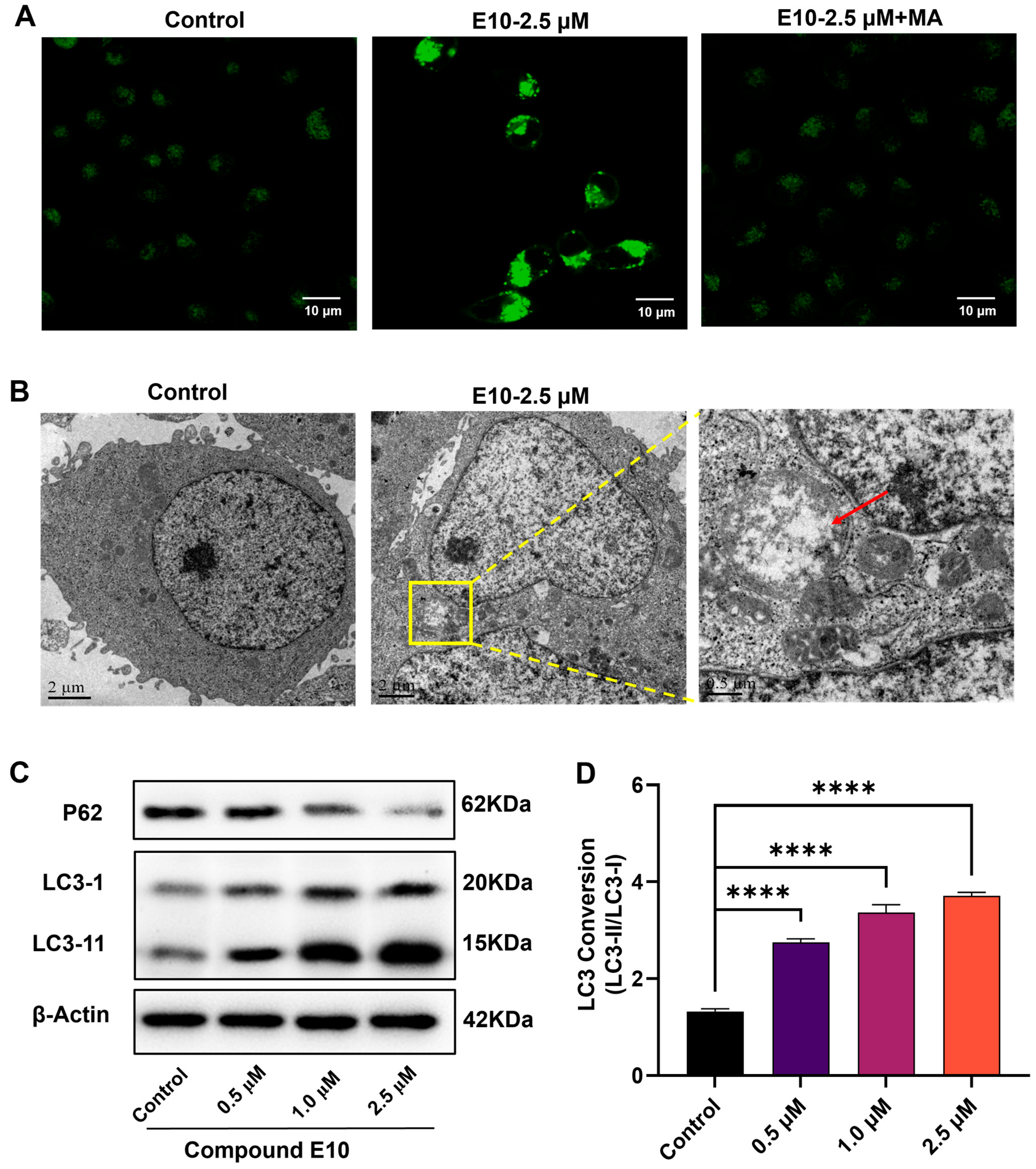 Molecules 30 04013 g005 Molecules 30 04013 g005