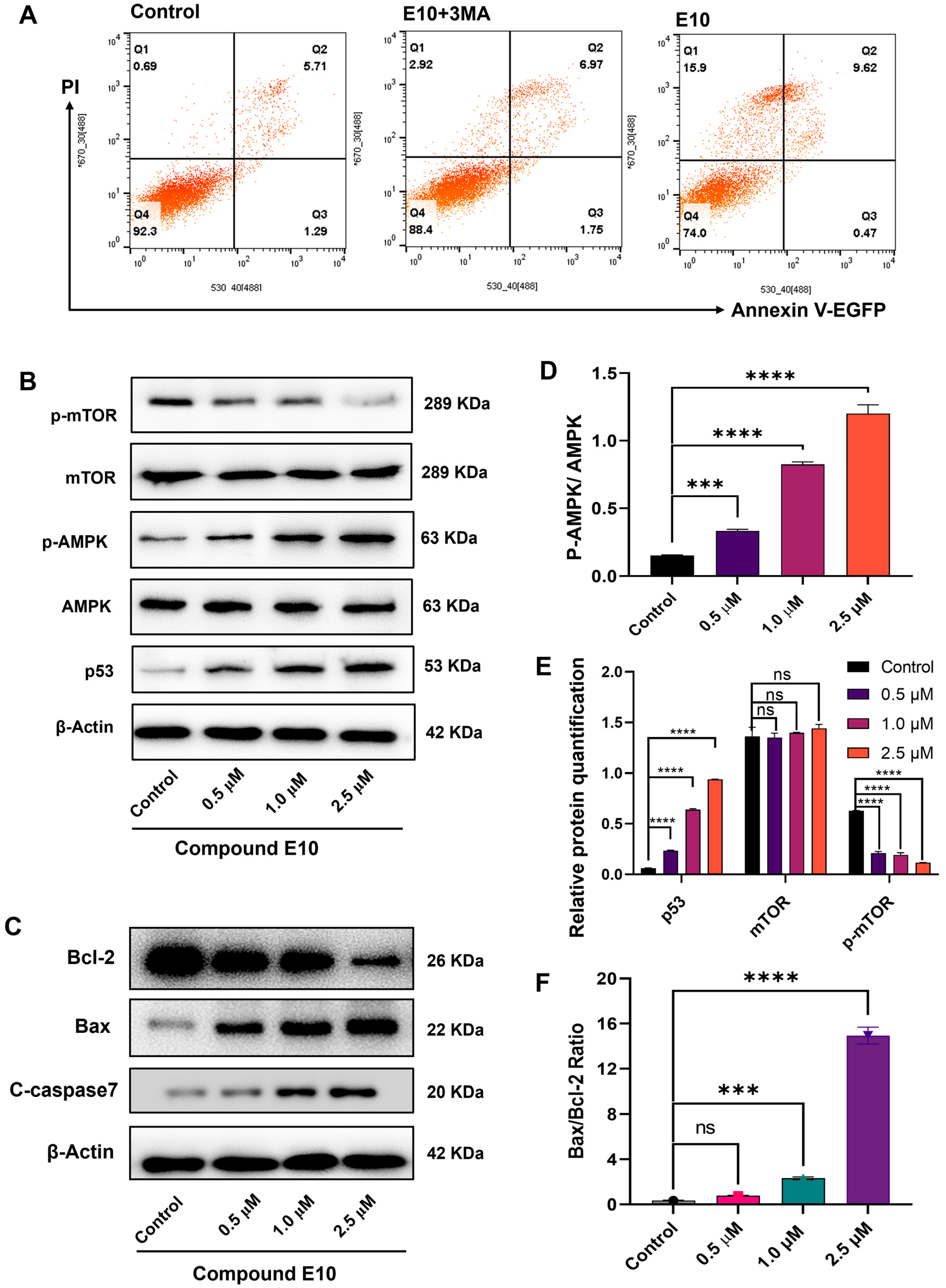 Molecules 30 04013 g006 Molecules 30 04013 g006
