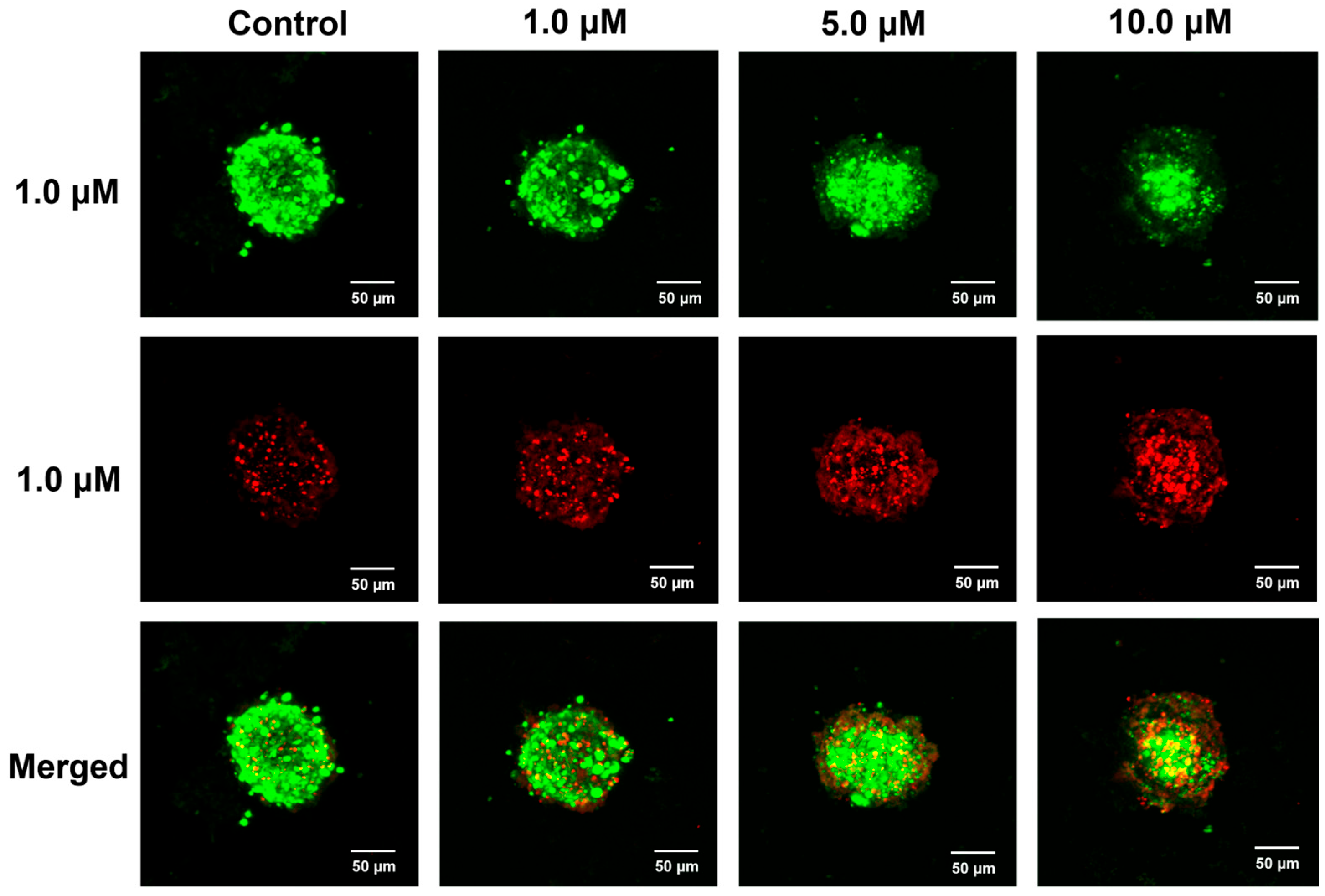 Molecules 30 04013 g007 Molecules 30 04013 g007