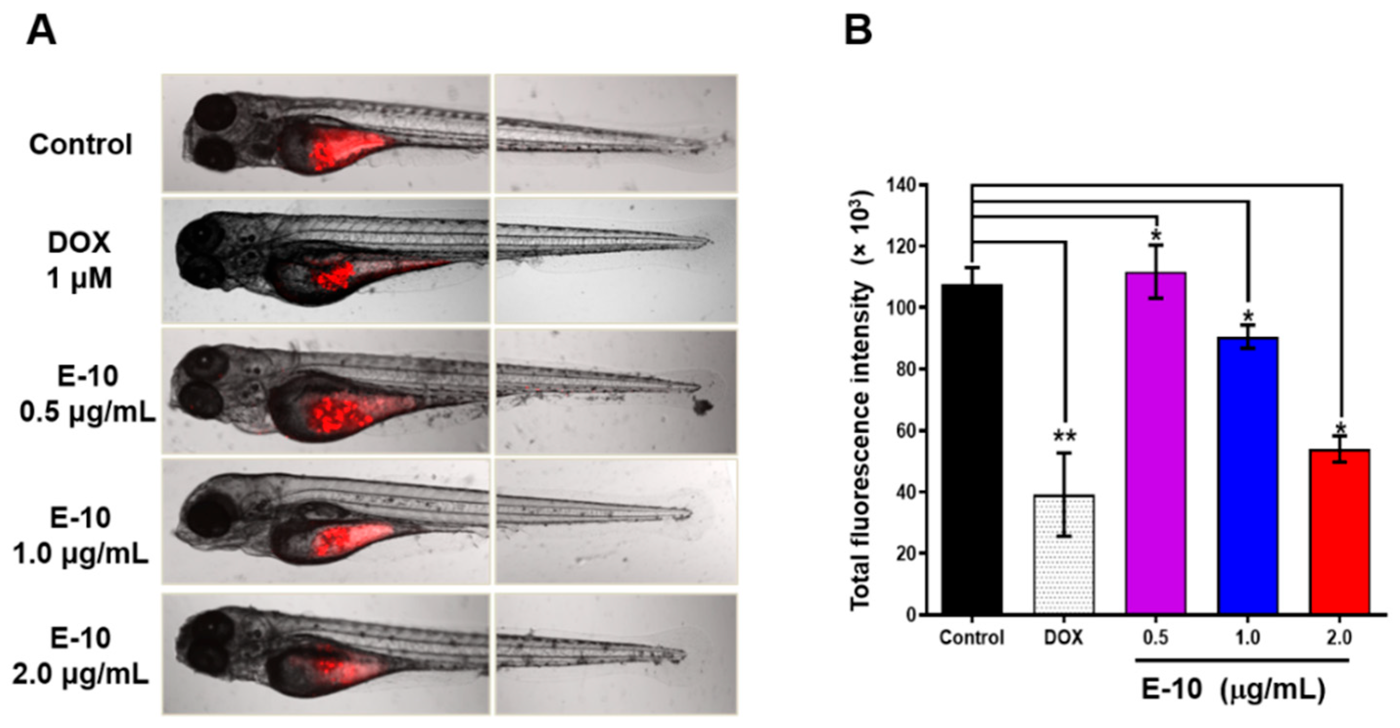 Molecules 30 04013 g008 Molecules 30 04013 g008