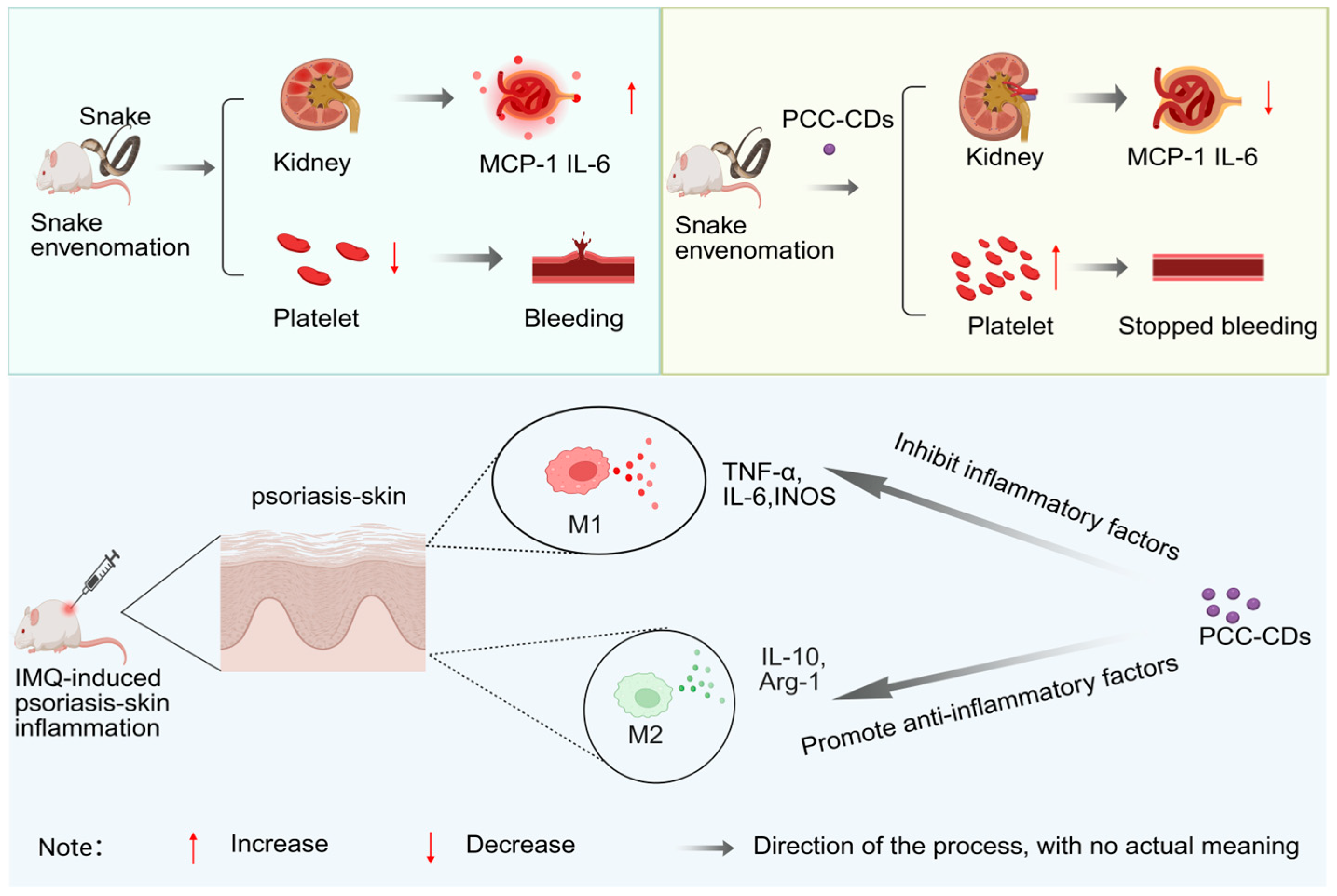 Molecules 30 04015 g003 Molecules 30 04015 g003