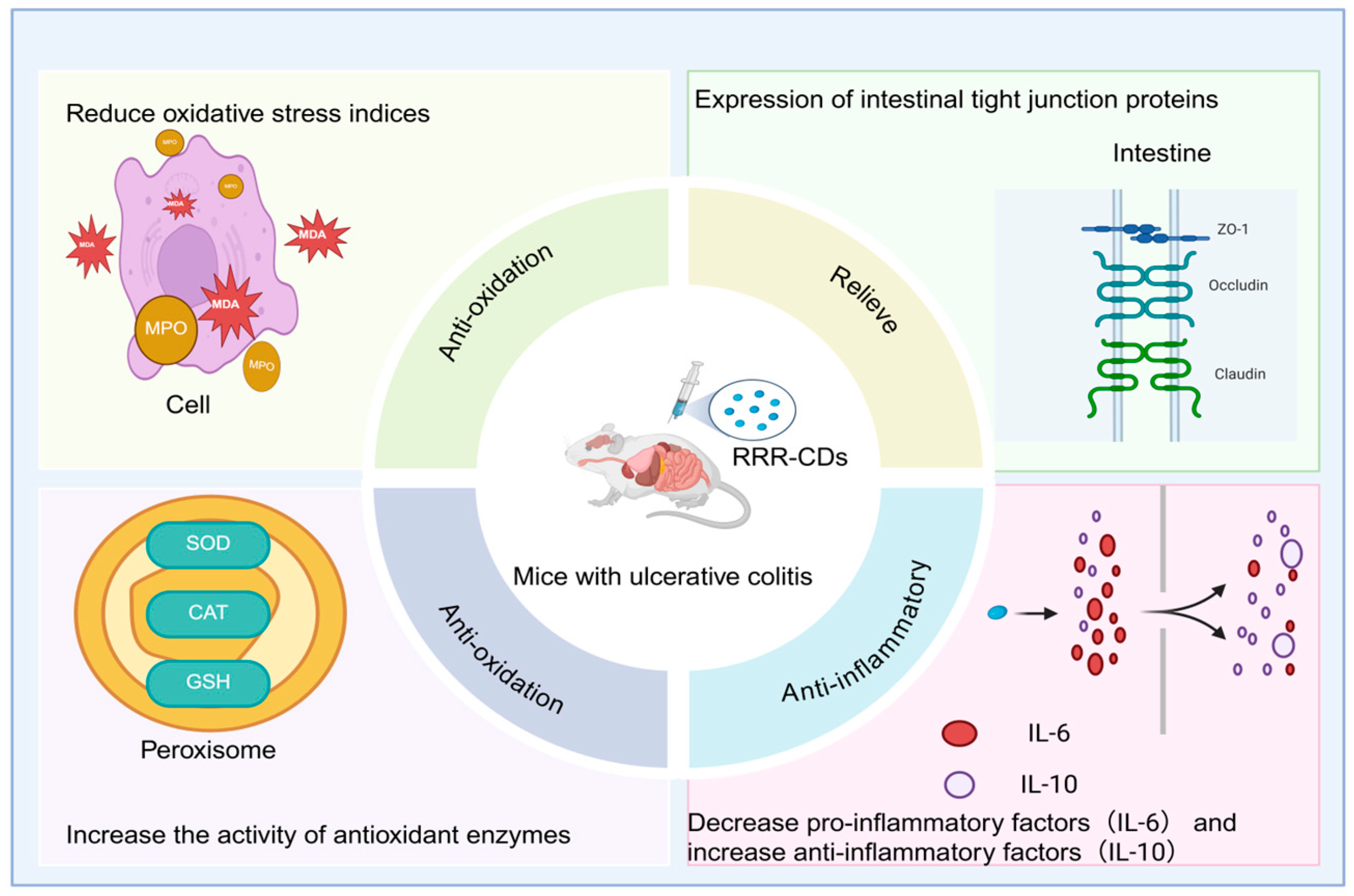 Molecules 30 04015 g005 Molecules 30 04015 g005