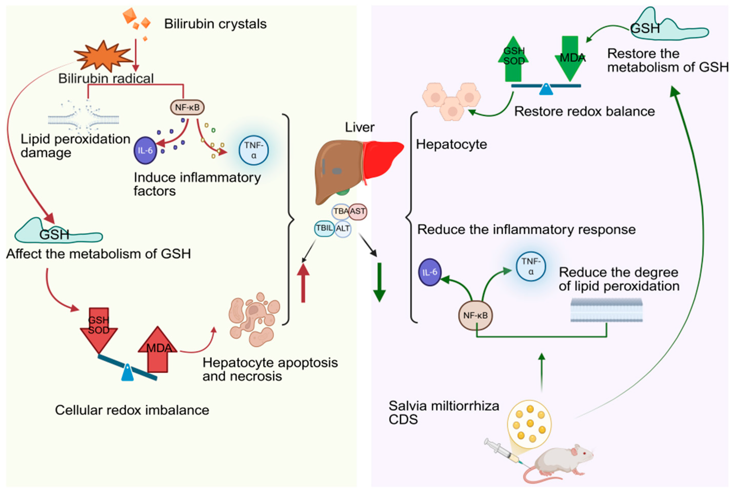 Molecules 30 04015 g006 Molecules 30 04015 g006