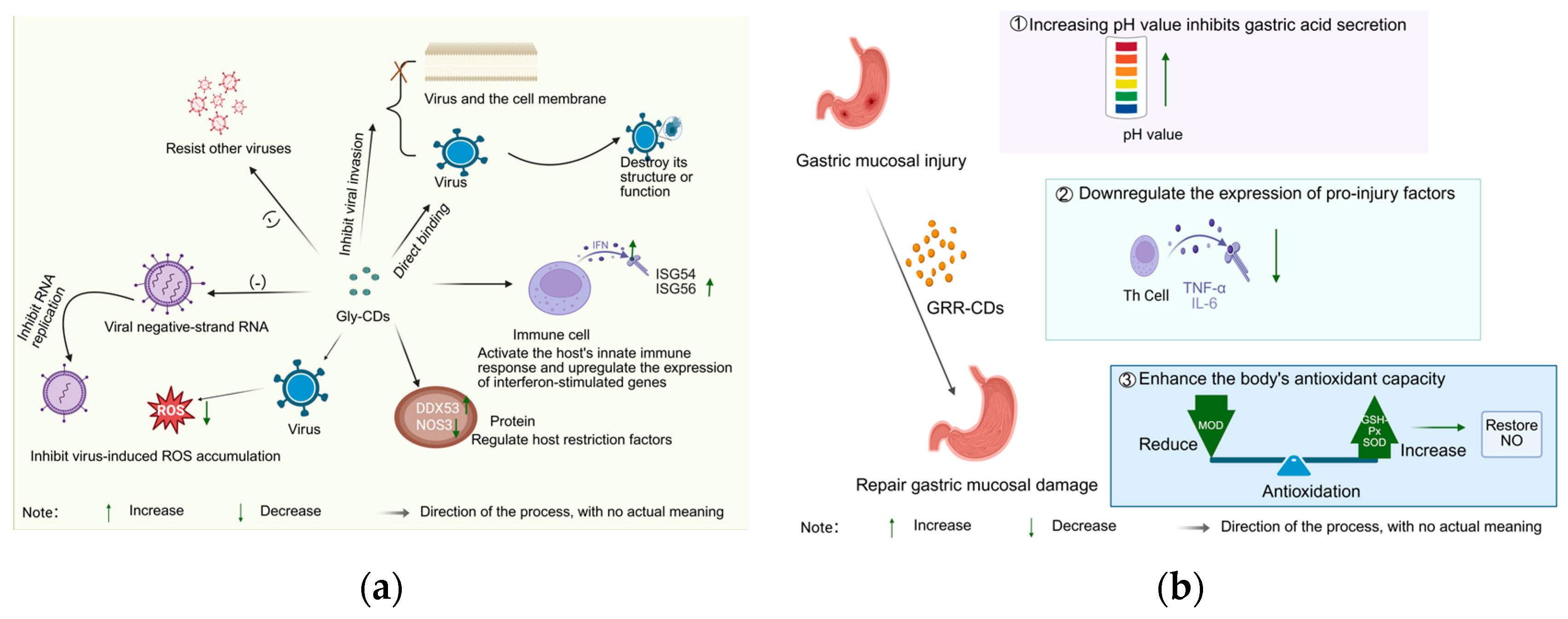 Molecules 30 04015 g007 Molecules 30 04015 g007