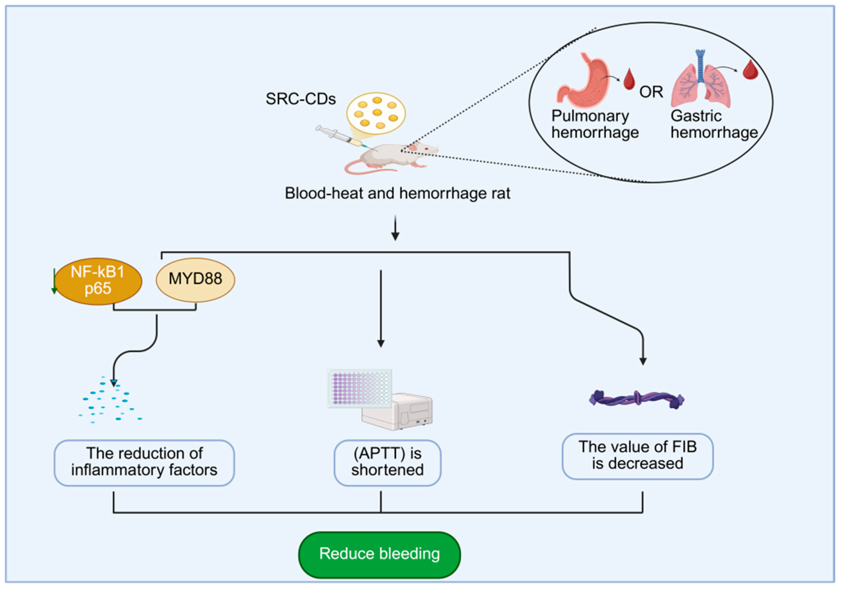 Molecules 30 04015 g009 Molecules 30 04015 g009