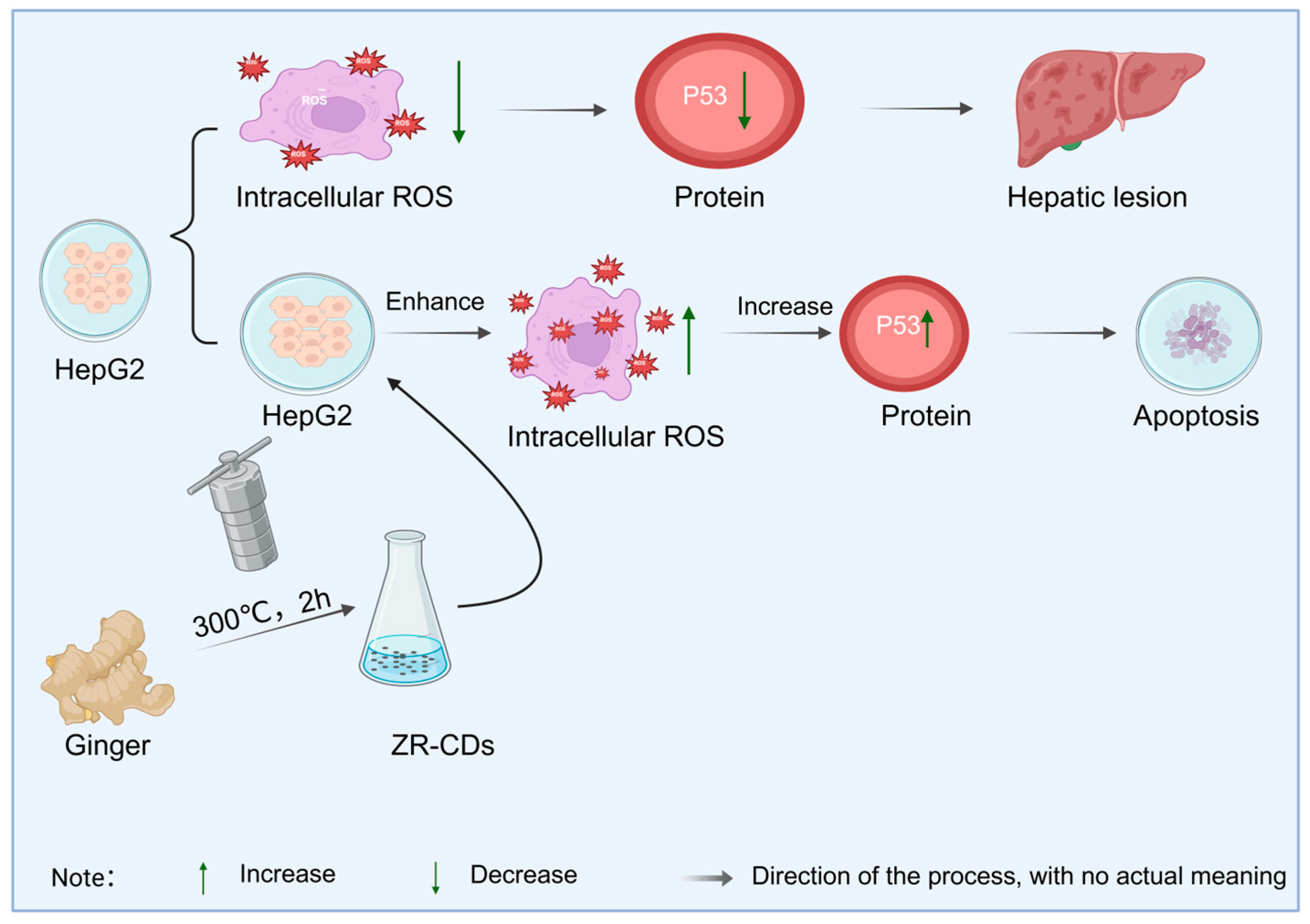 Molecules 30 04015 g011 Molecules 30 04015 g011