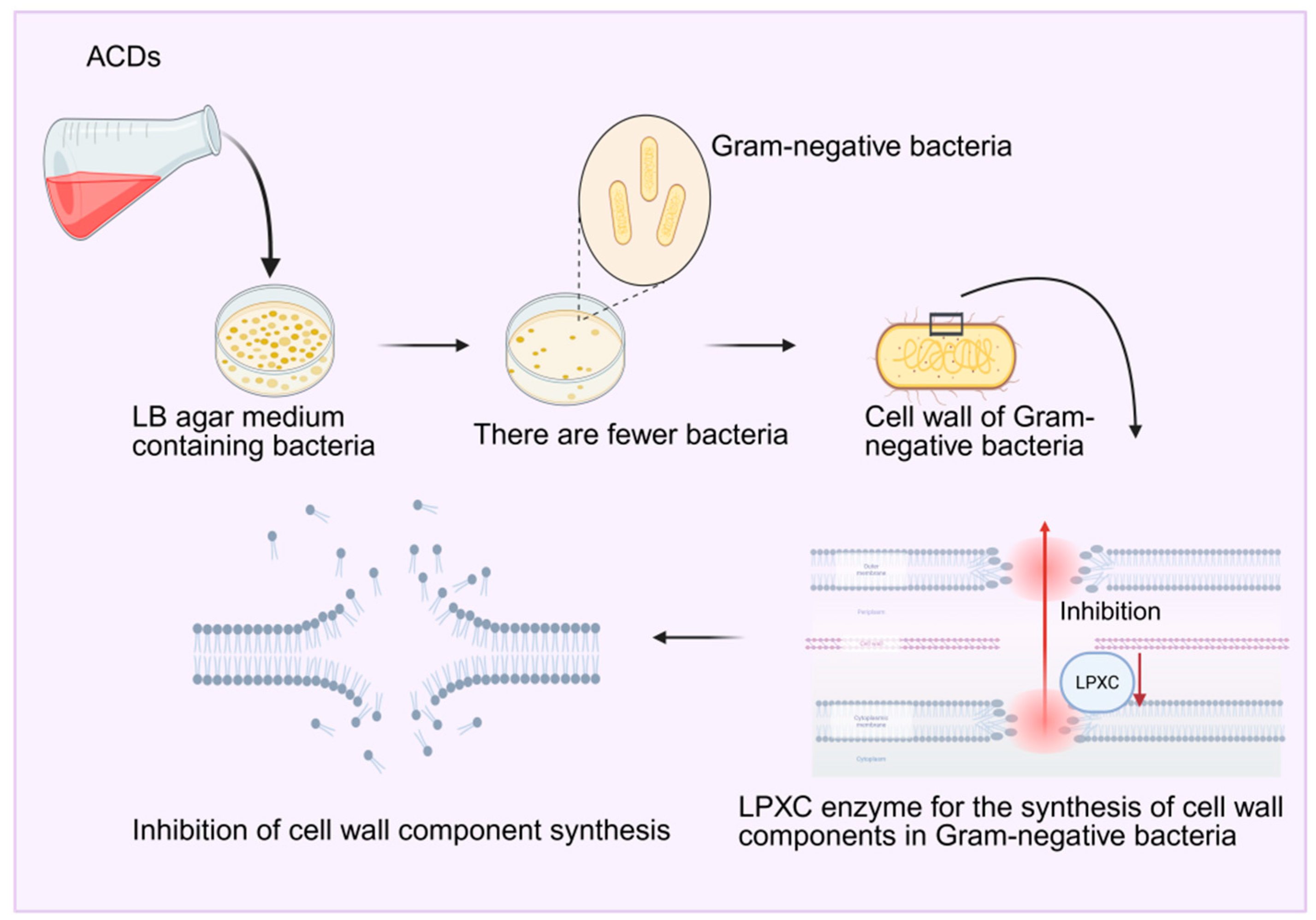 Molecules 30 04015 g012 Molecules 30 04015 g012