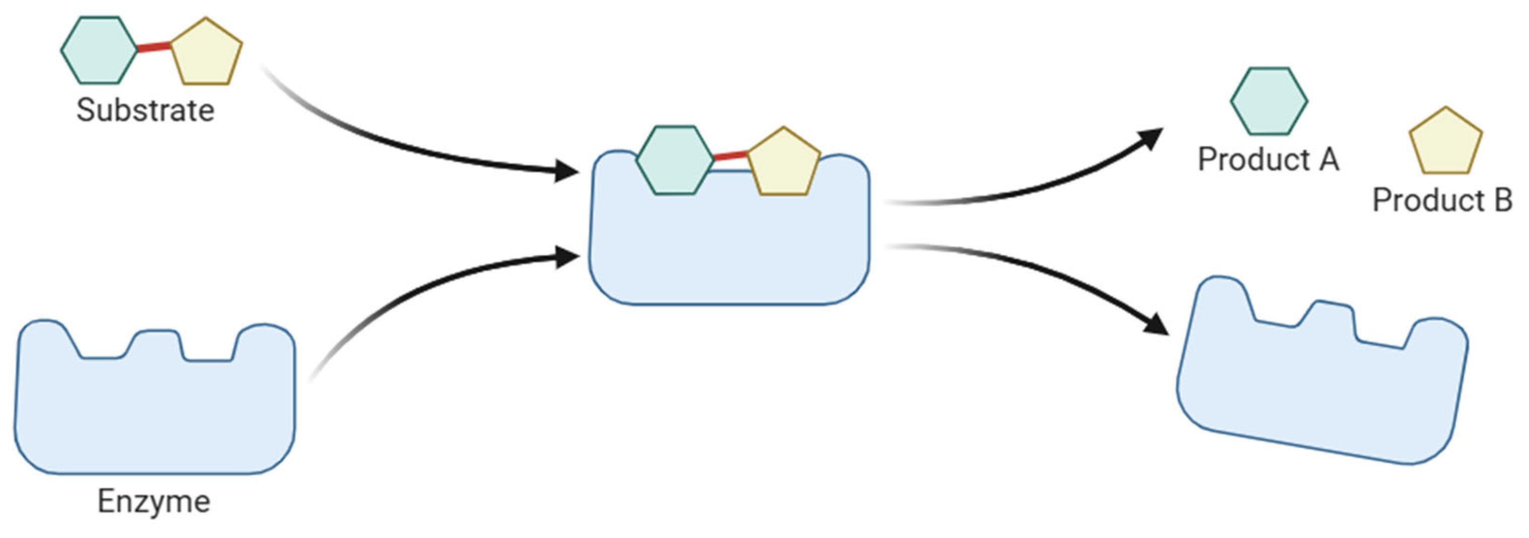Molecules 30 04016 g001 Molecules 30 04016 g001