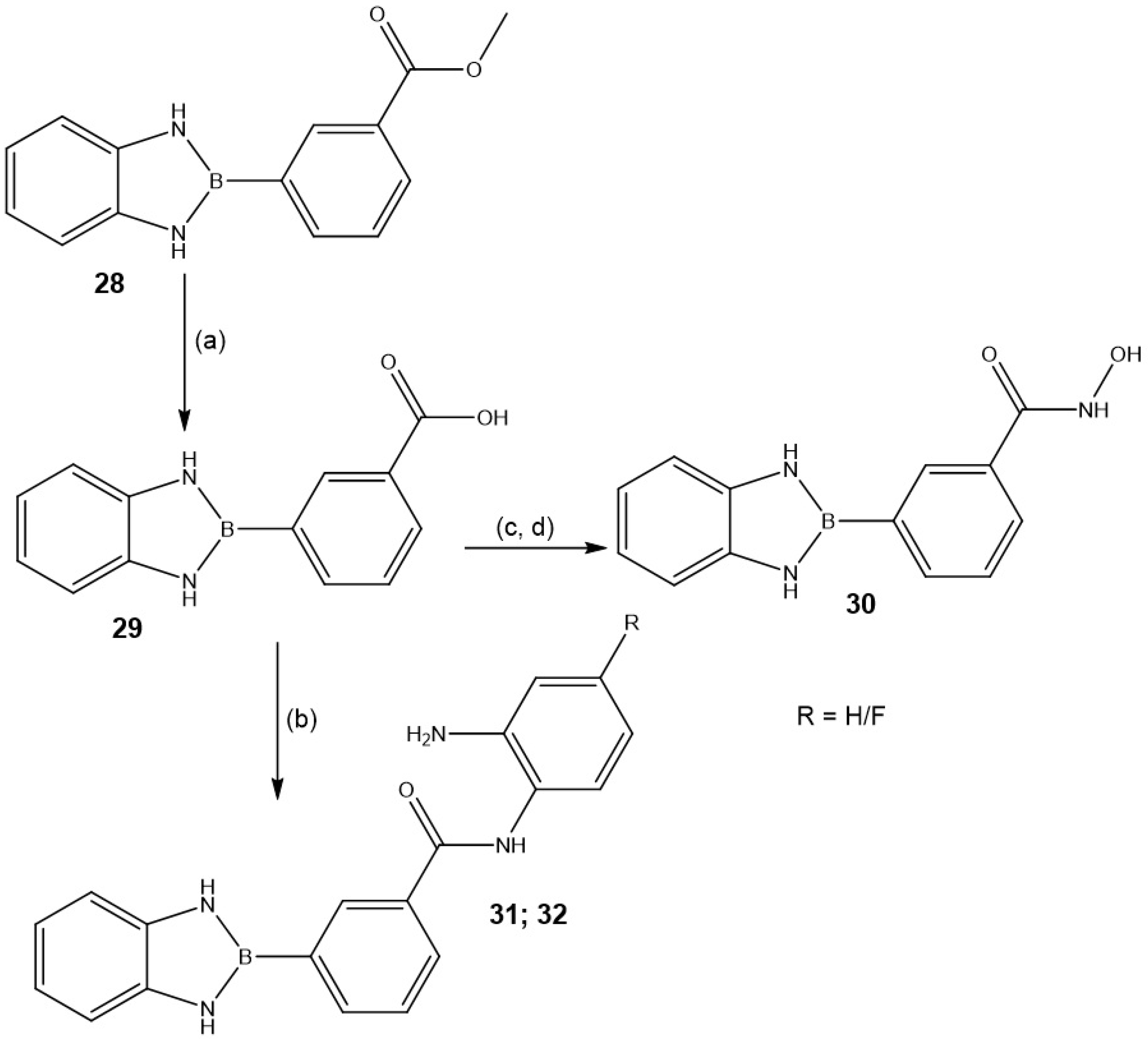 Molecules 30 04017 sch005