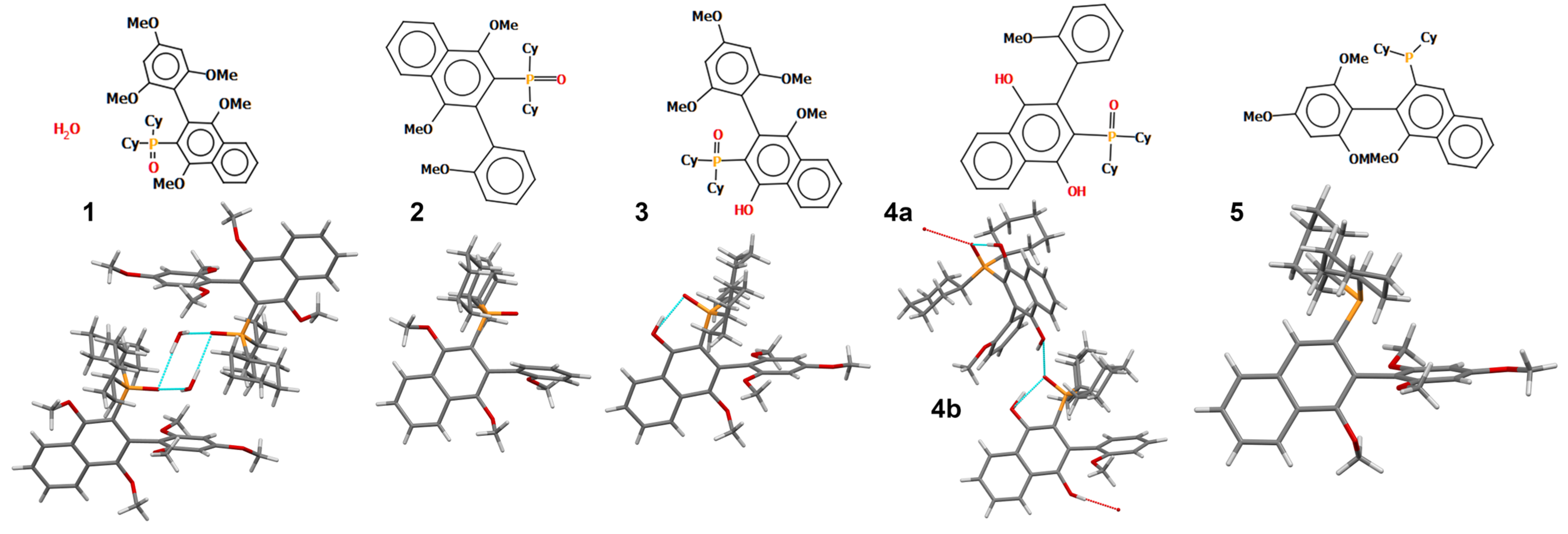 Molecules 30 04018 g001 Molecules 30 04018 g001