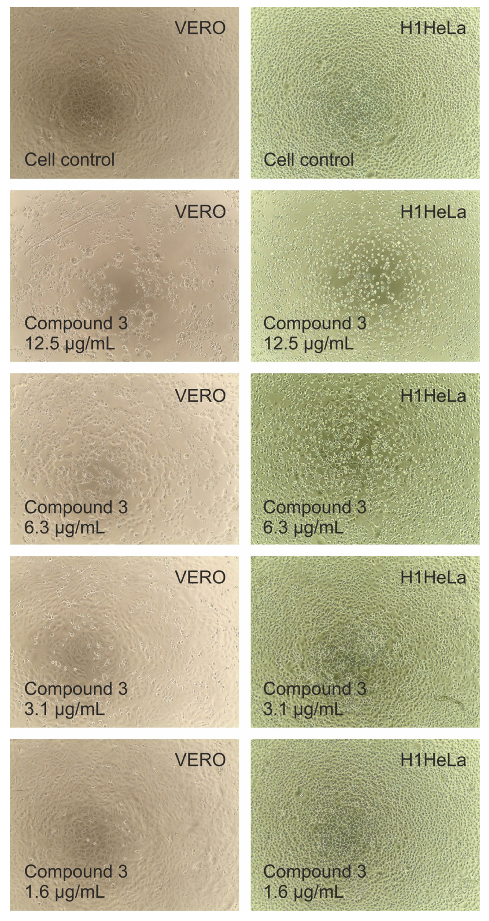 Molecules 30 04018 g005 Molecules 30 04018 g005