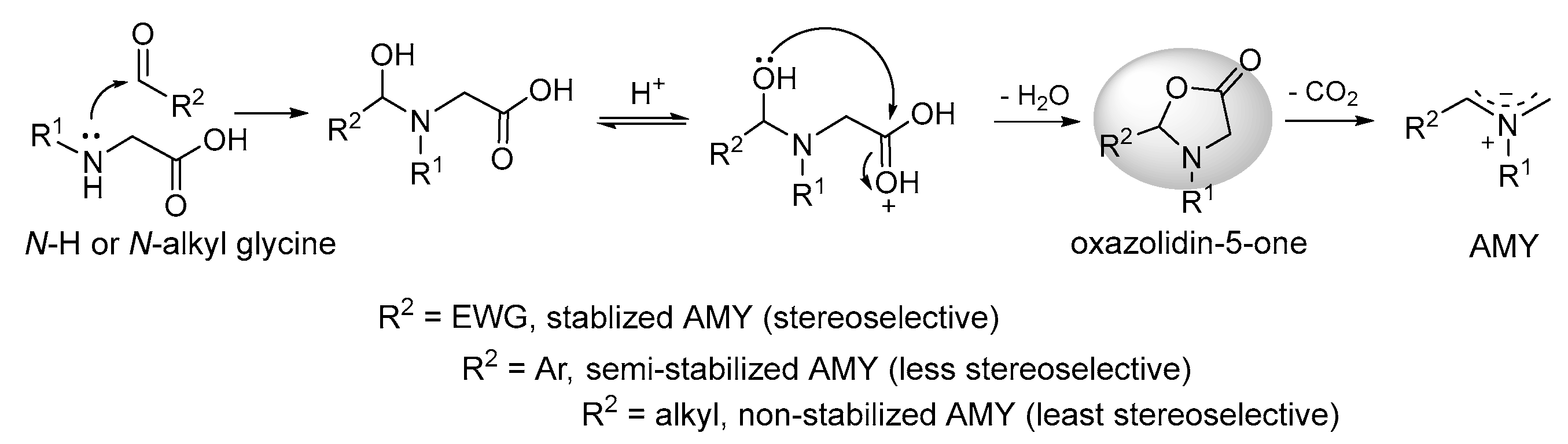 Molecules 30 04019 sch014