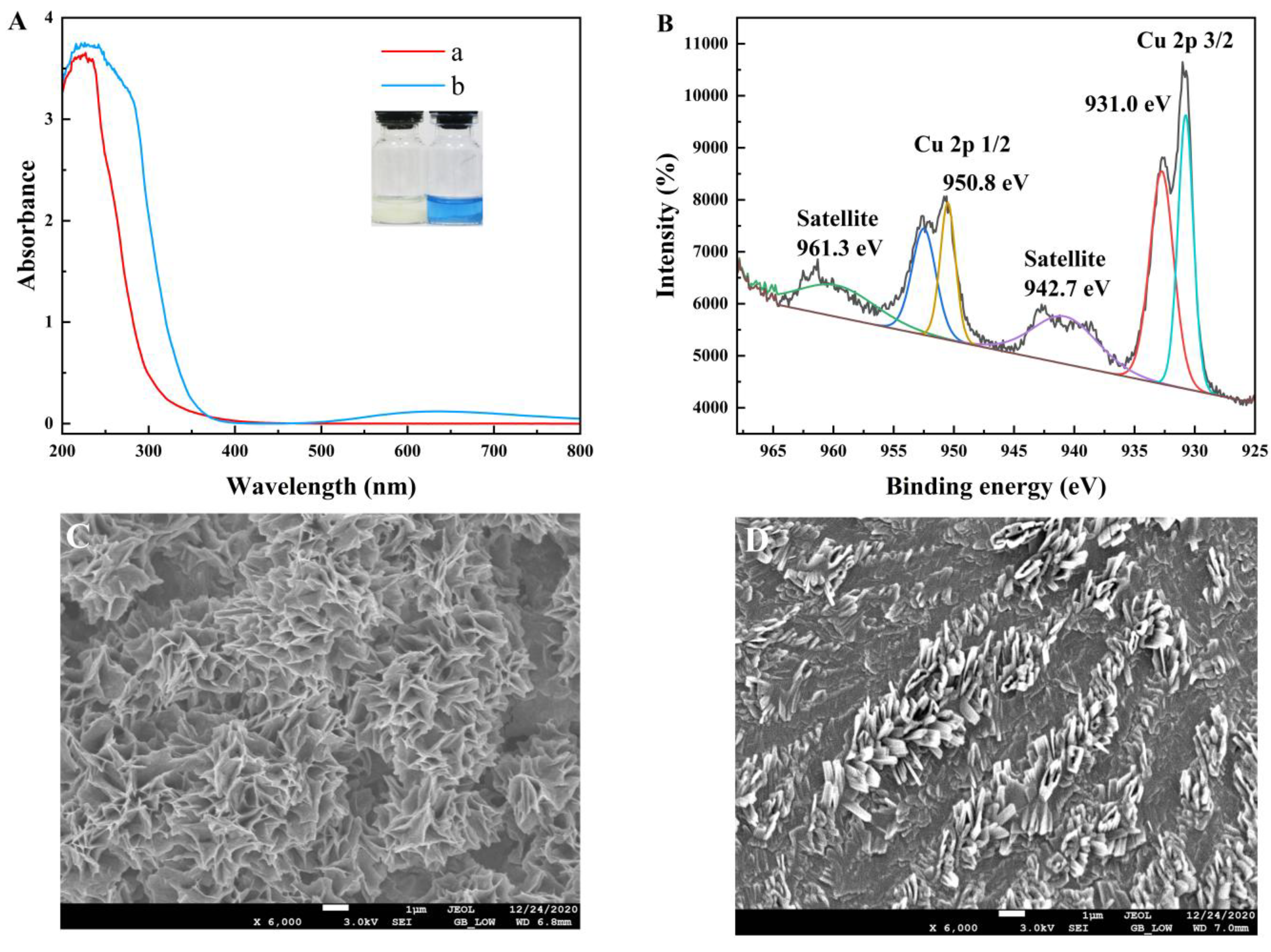 Molecules 30 04022 g004