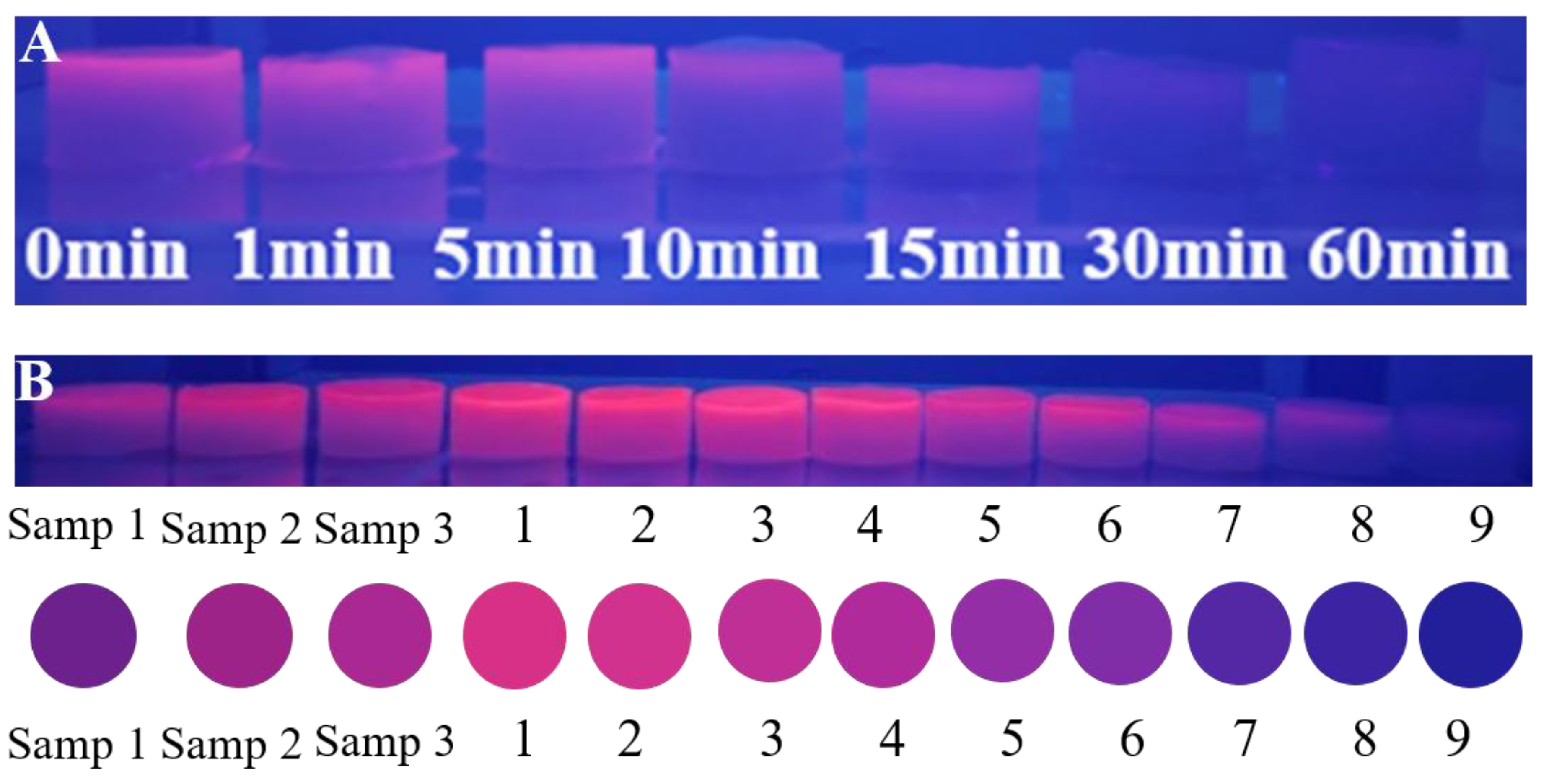 Molecules 30 04022 g006