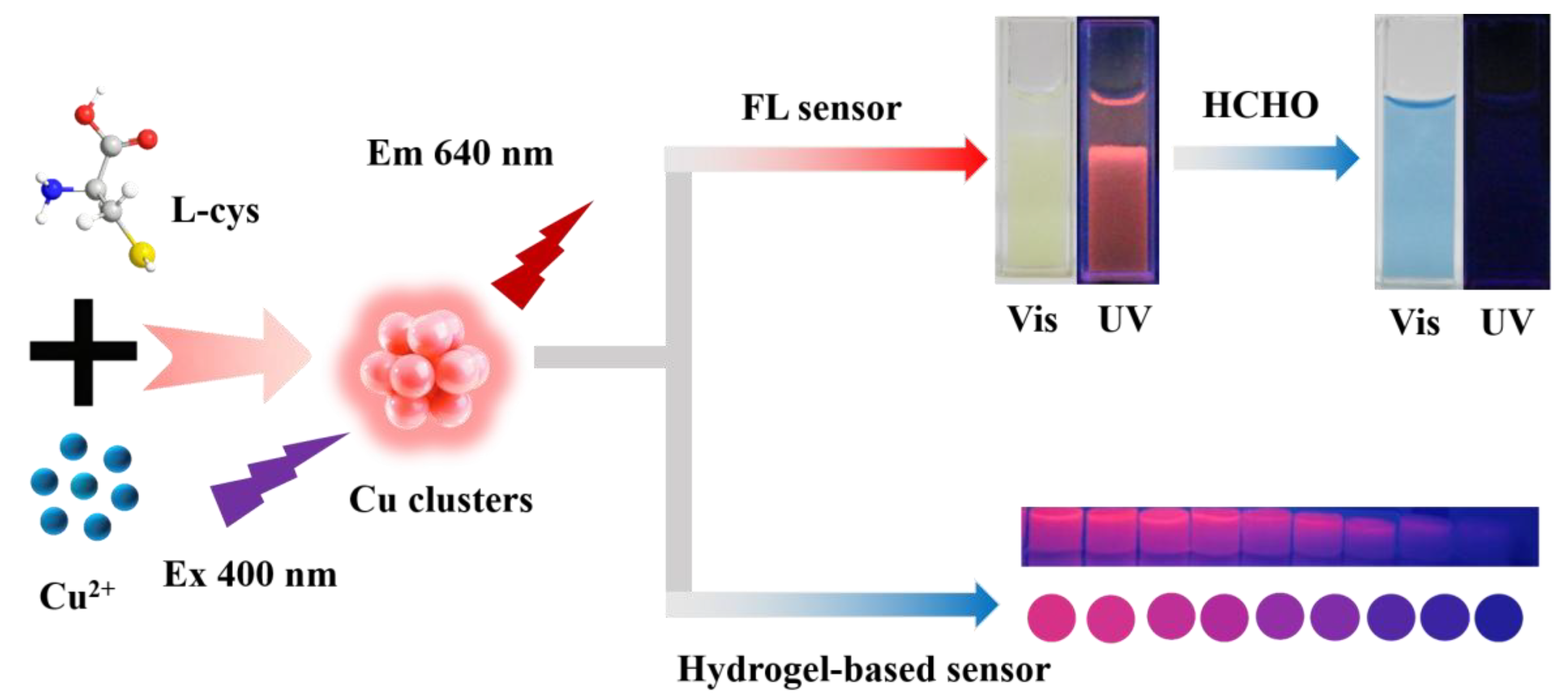 Molecules 30 04022 sch001