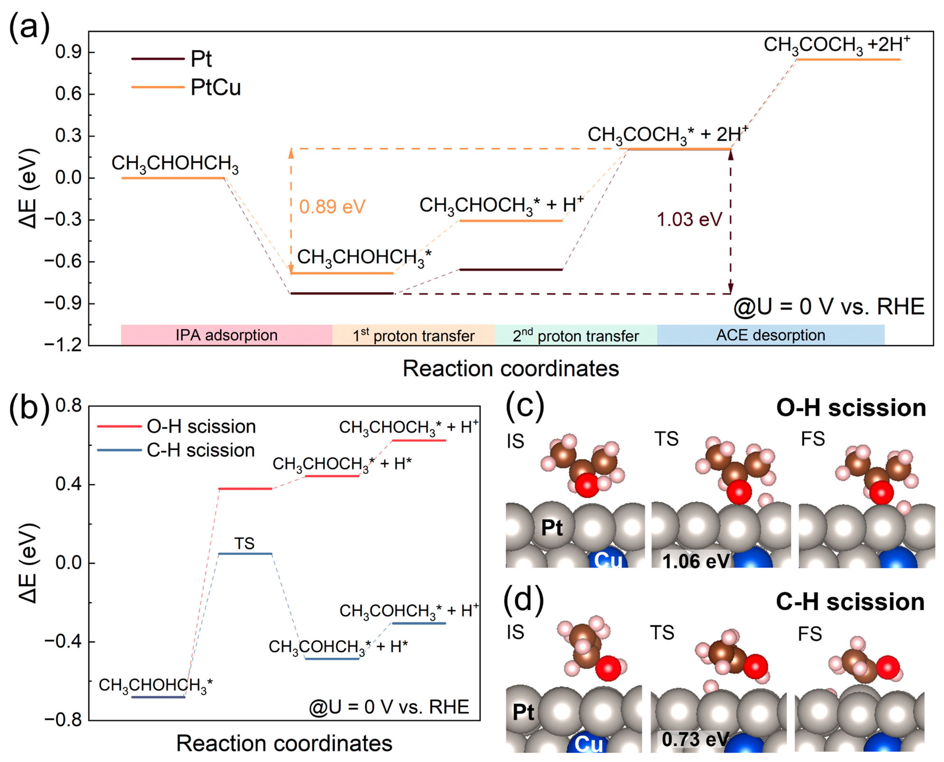 Molecules 30 04027 g004