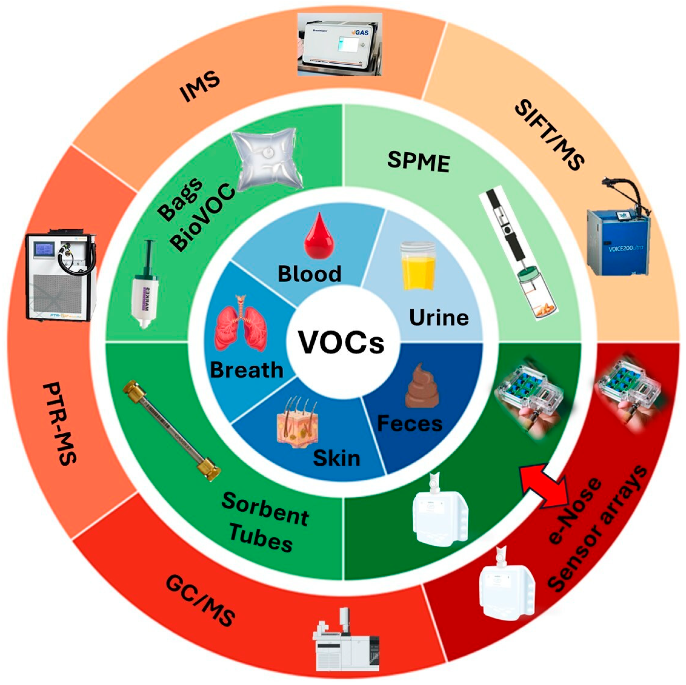 Molecules 30 04028 g002 Molecules 30 04028 g002