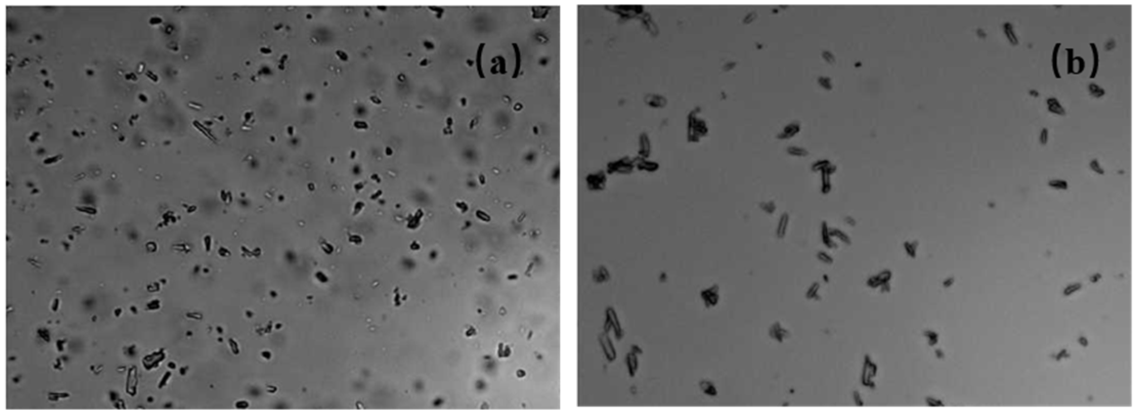 Molecules 30 04034 g001
