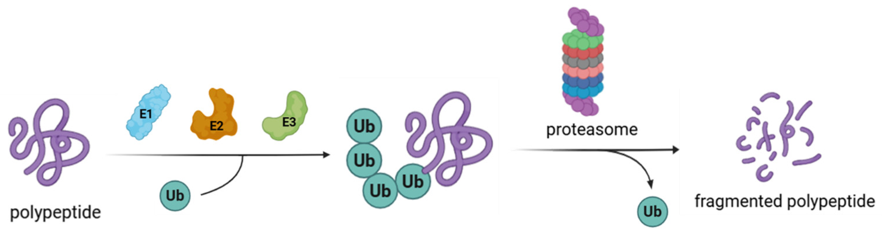 Molecules 30 04038 g001