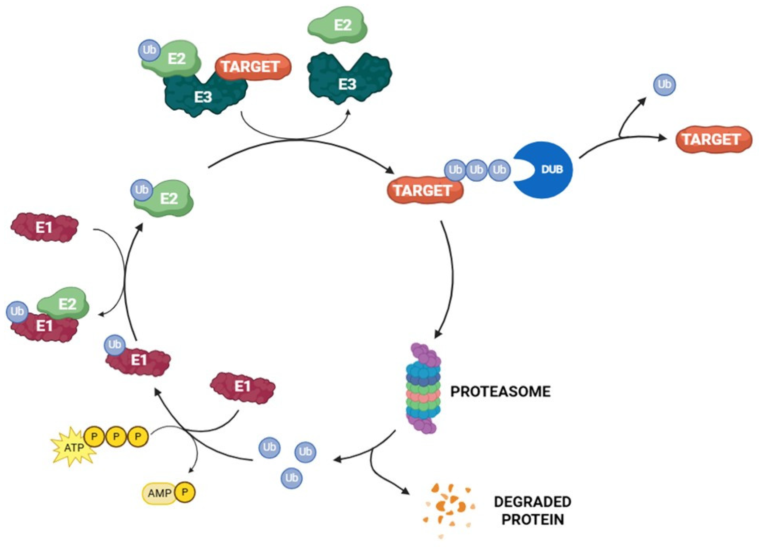 Molecules 30 04038 g002