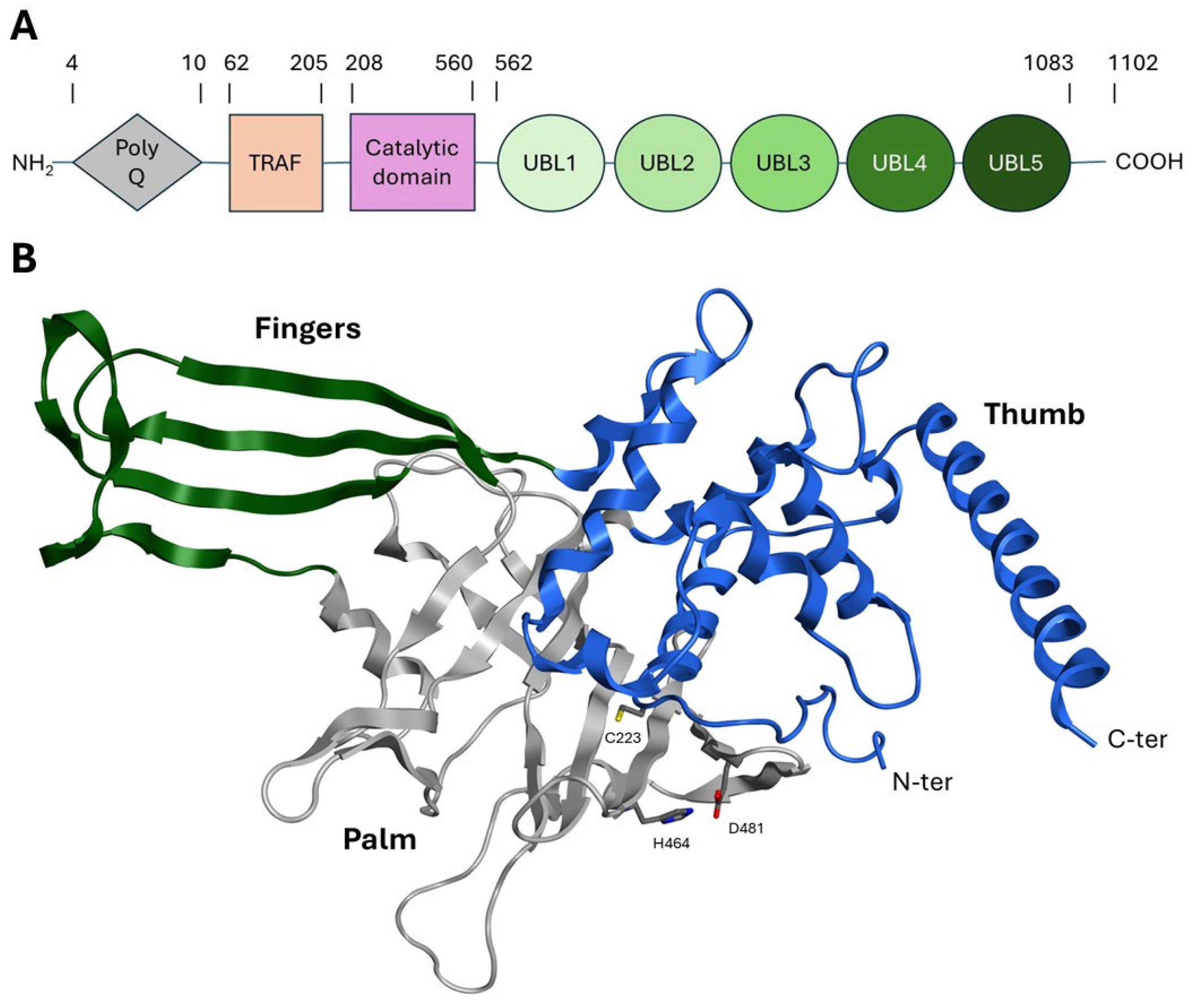 Molecules 30 04038 g003
