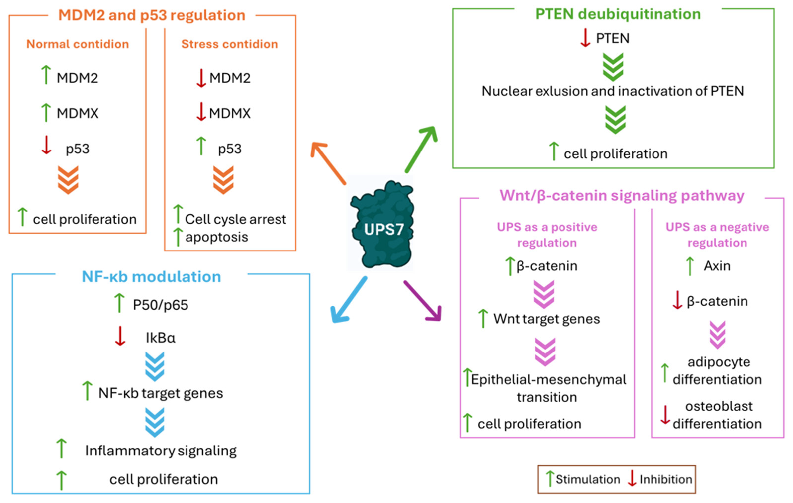 Molecules 30 04038 g005
