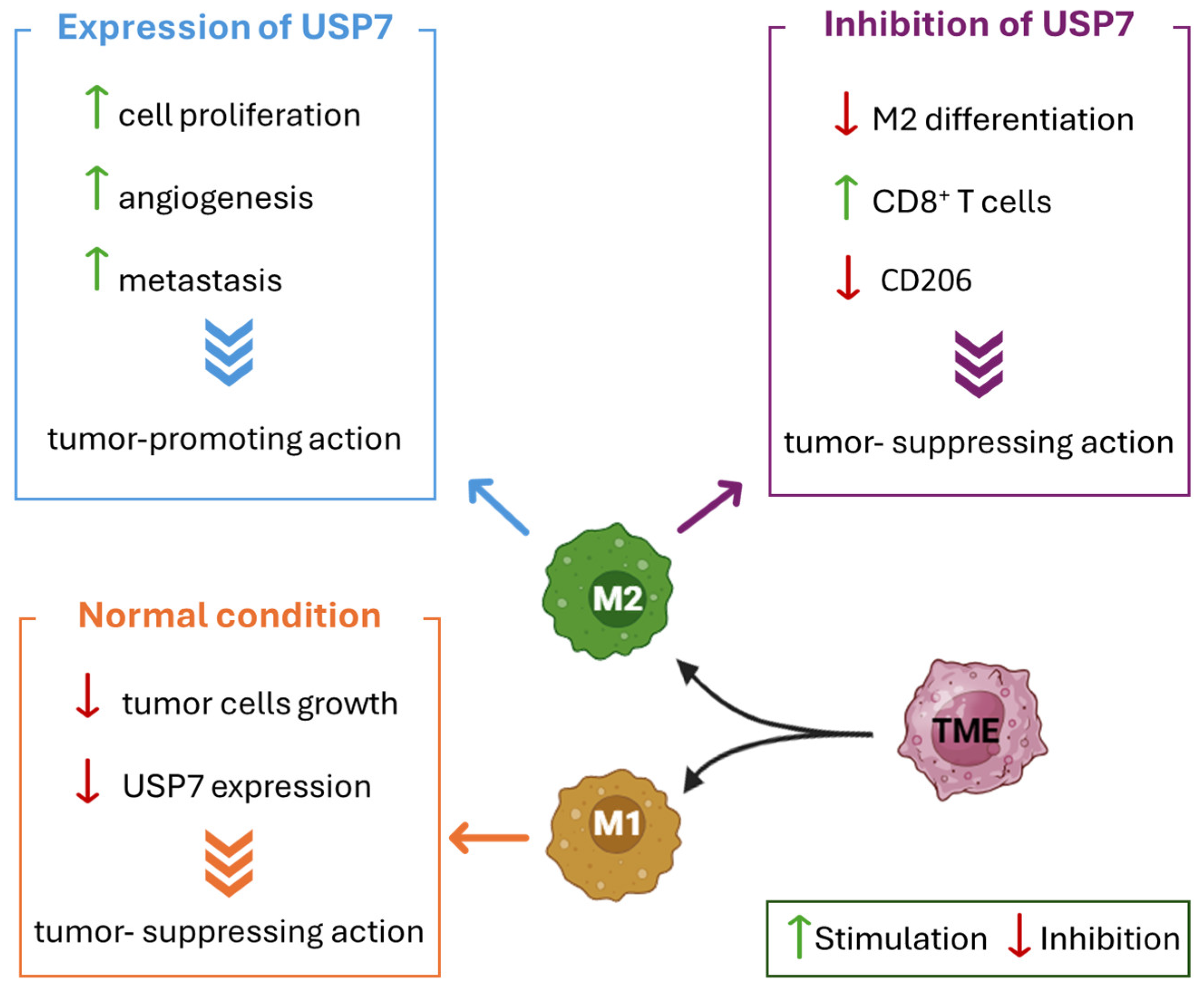 Molecules 30 04038 g006