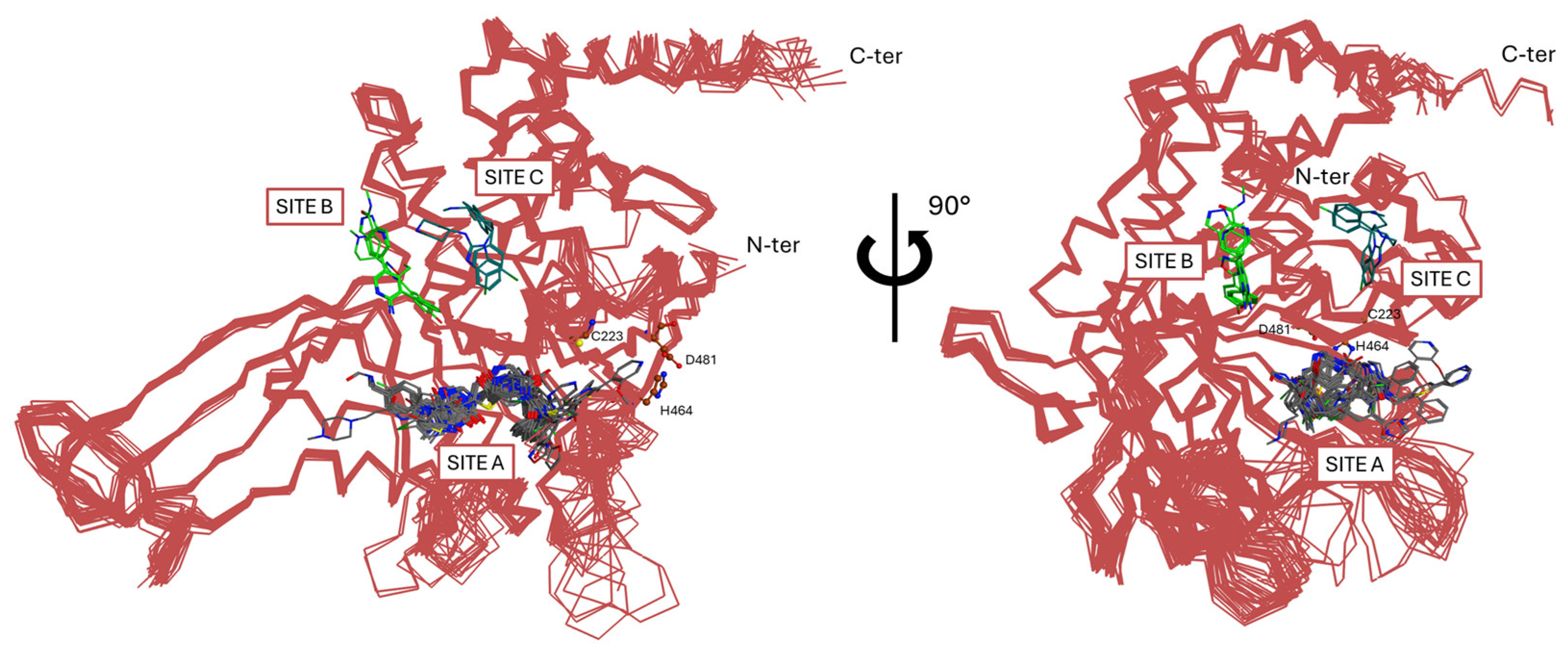 Molecules 30 04038 g007