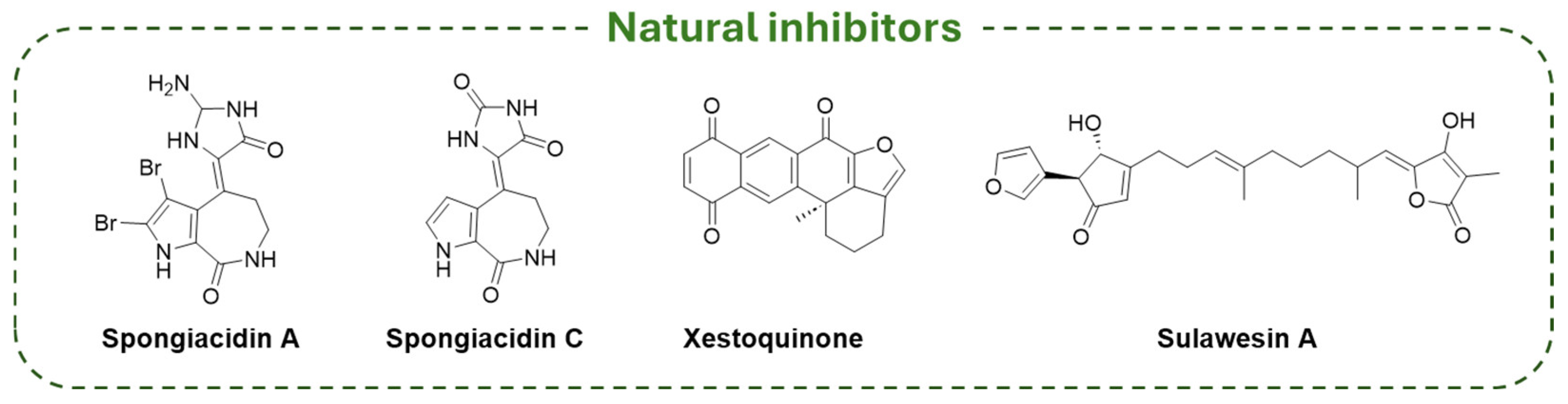 Molecules 30 04038 g015