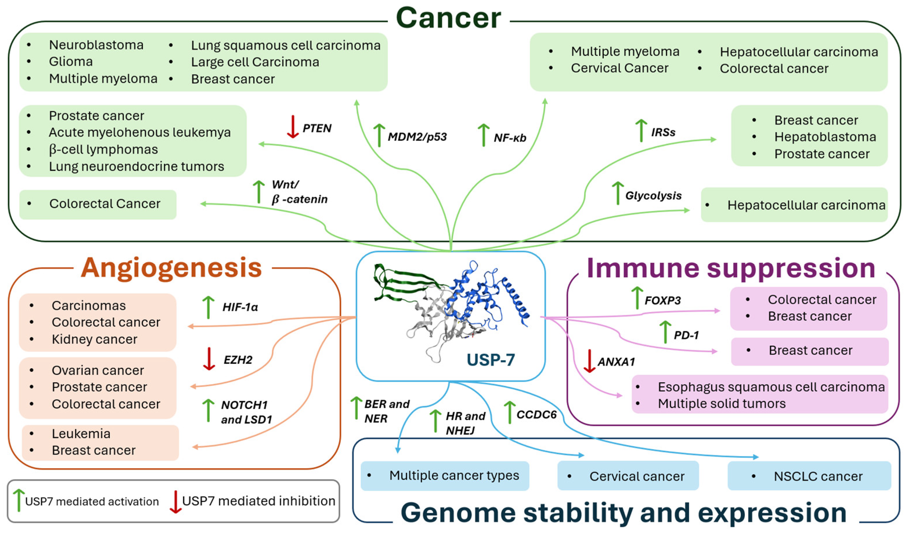 Molecules 30 04038 g018
