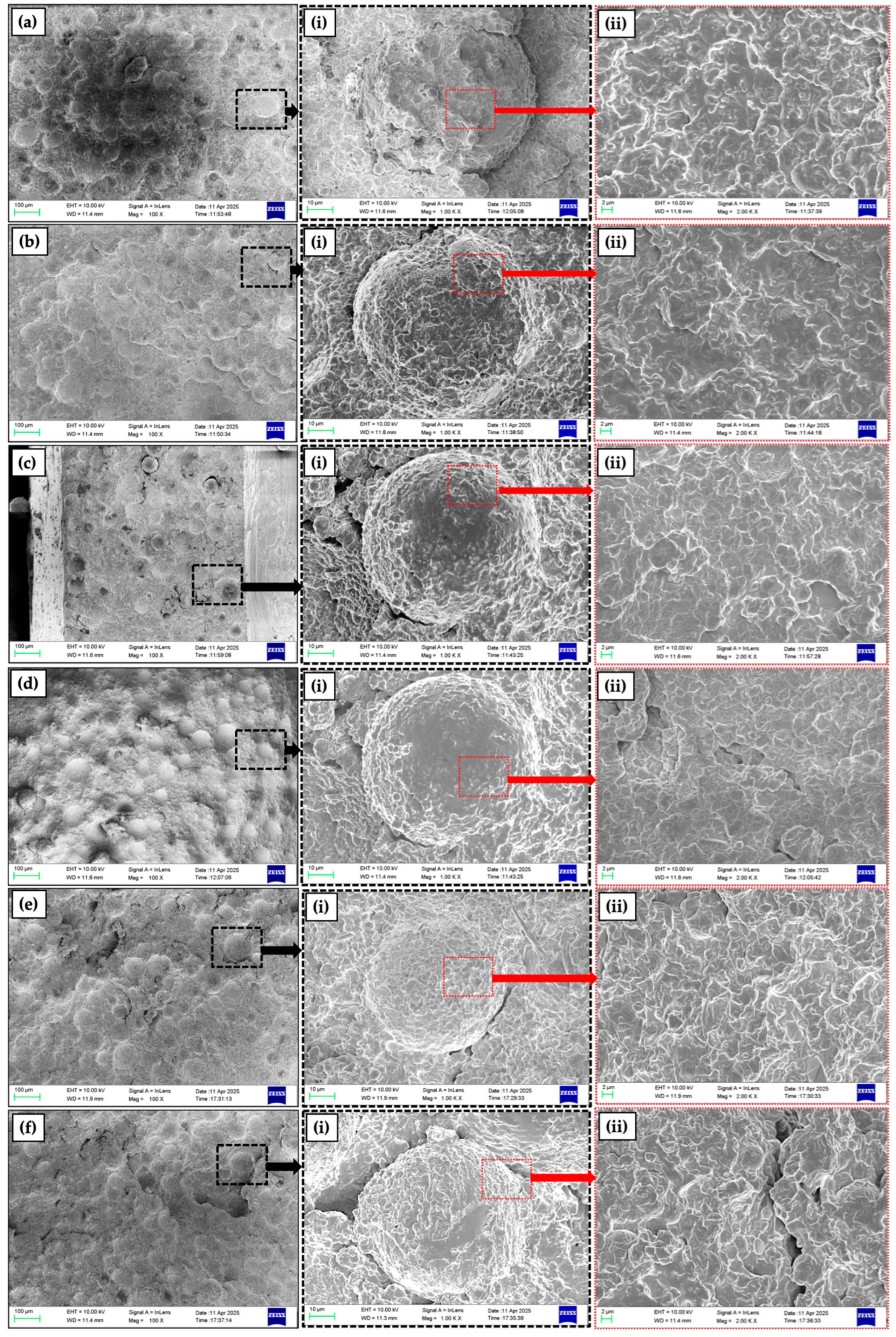 Molecules 30 04043 g001 Molecules 30 04043 g001