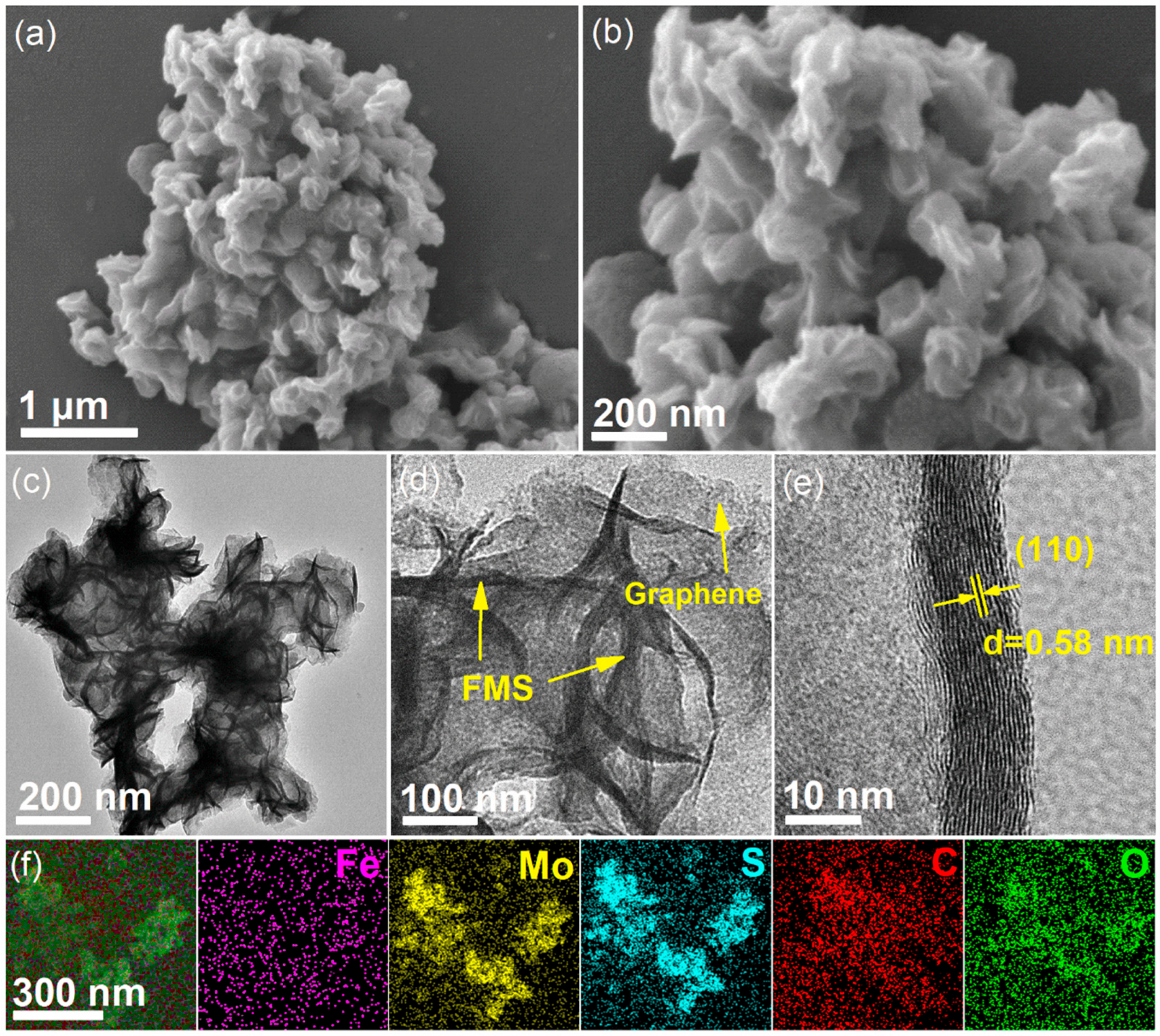 Molecules 30 04045 g001