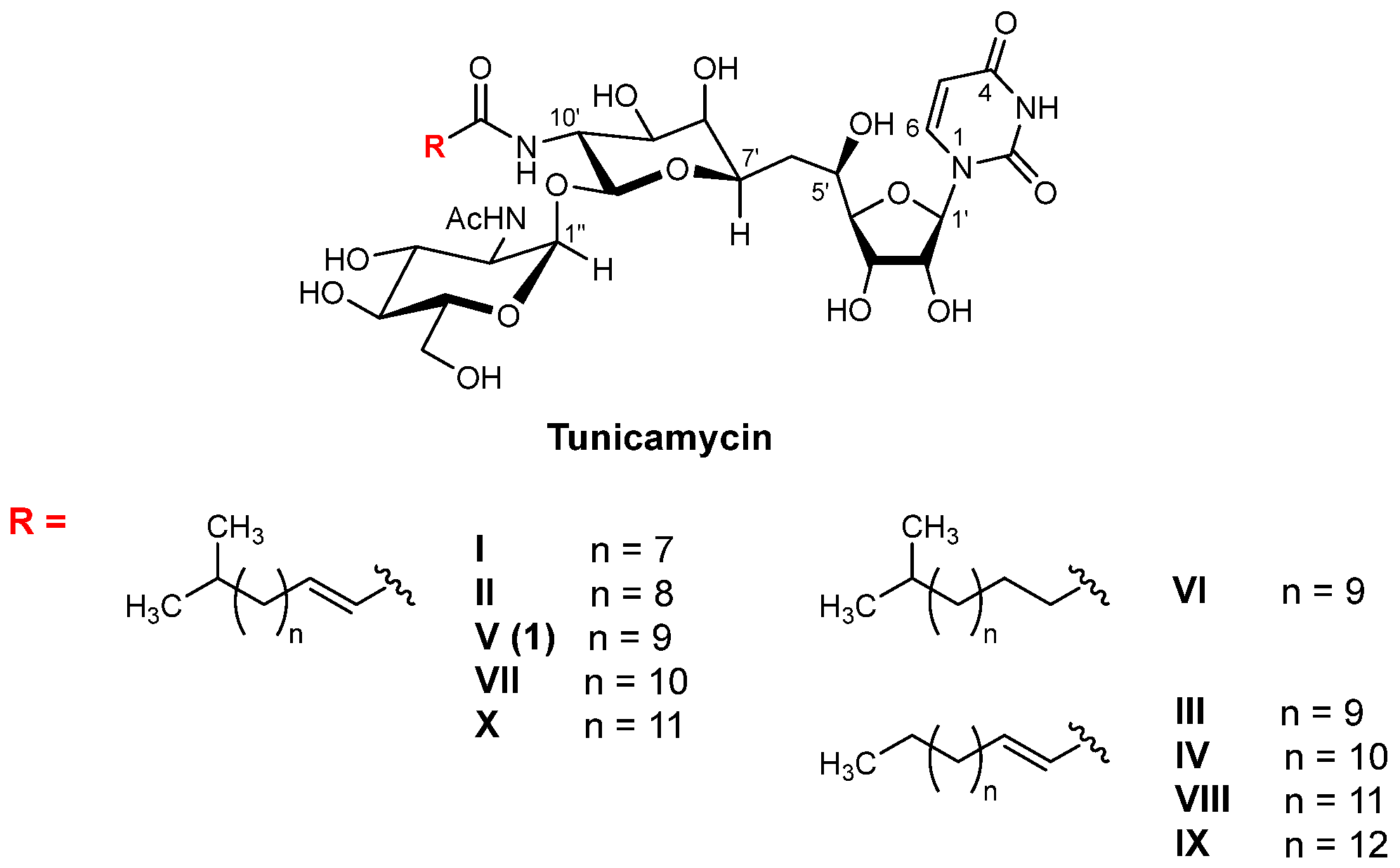 Molecules 30 04049 g001