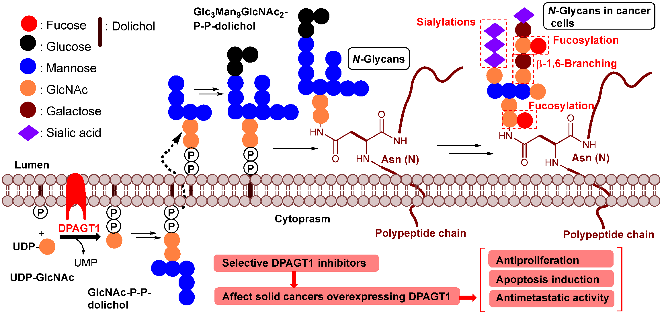 Molecules 30 04049 g002