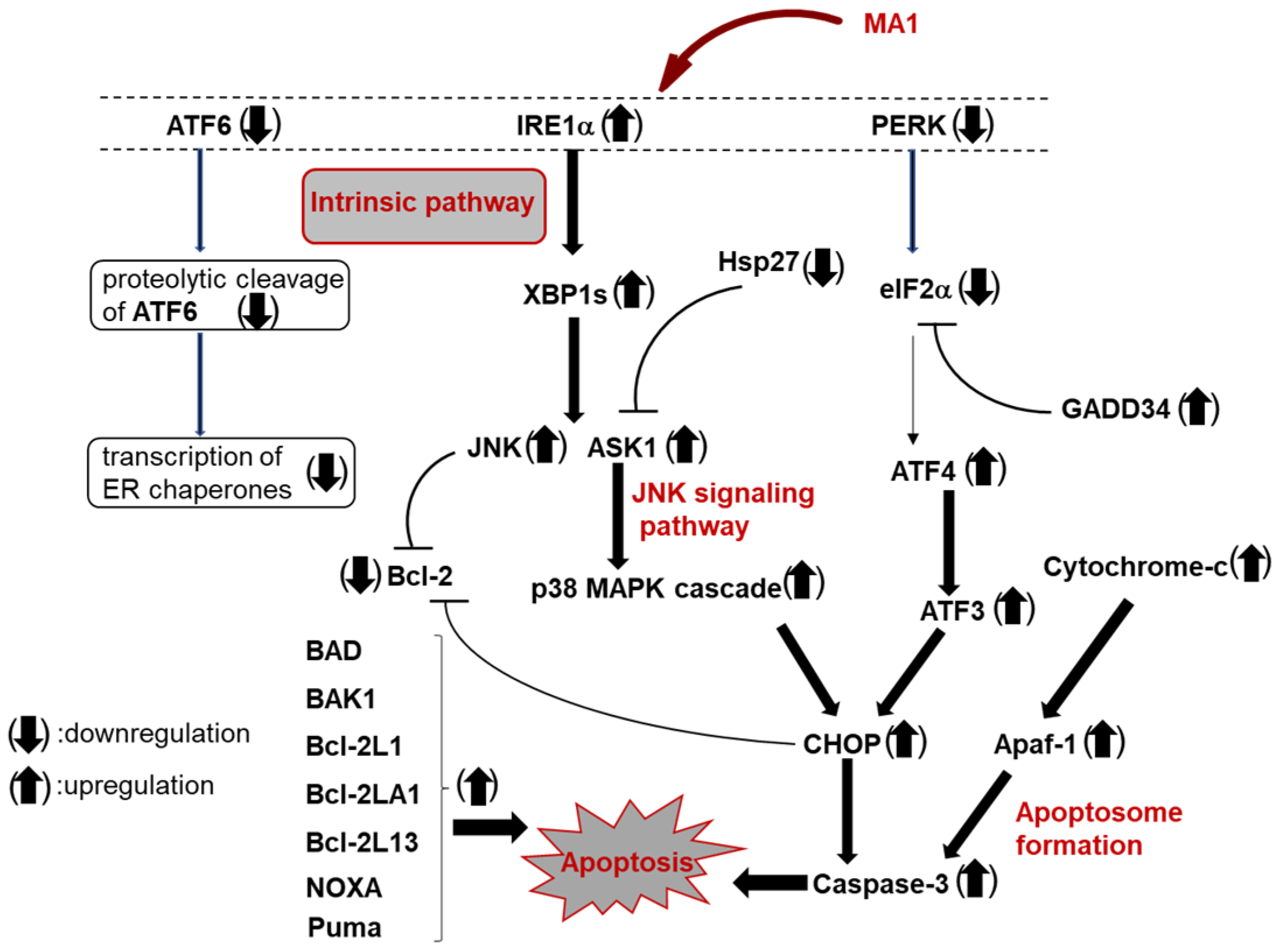 Molecules 30 04049 g004