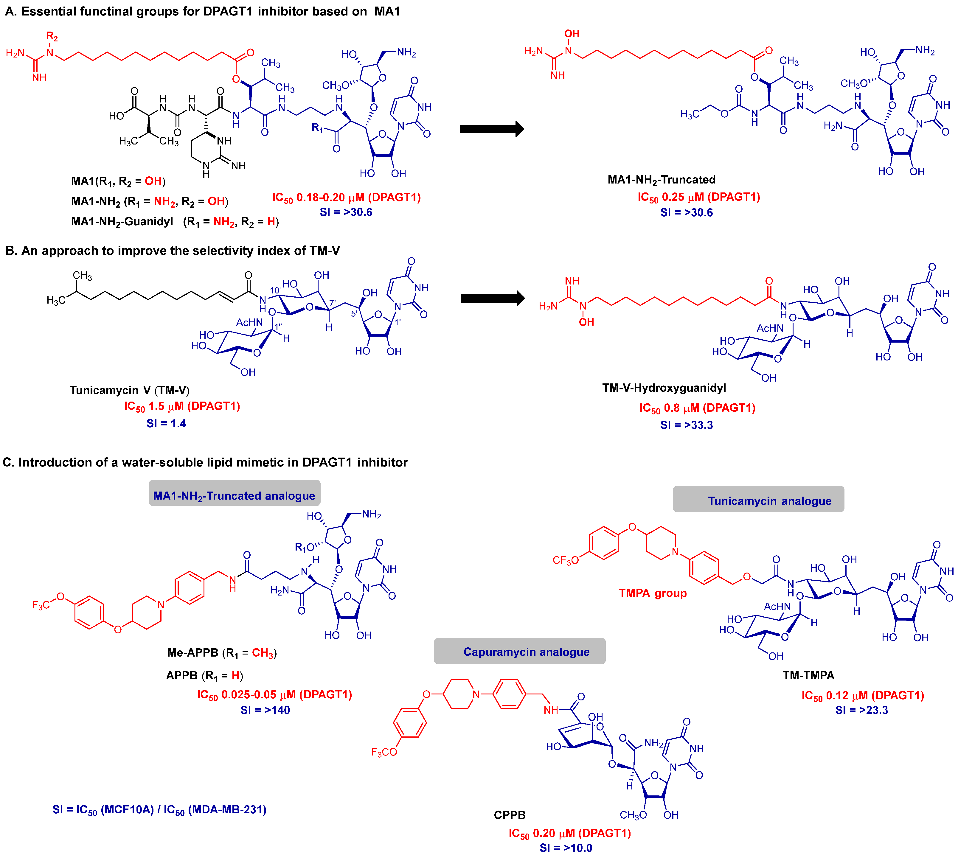 Molecules 30 04049 g005