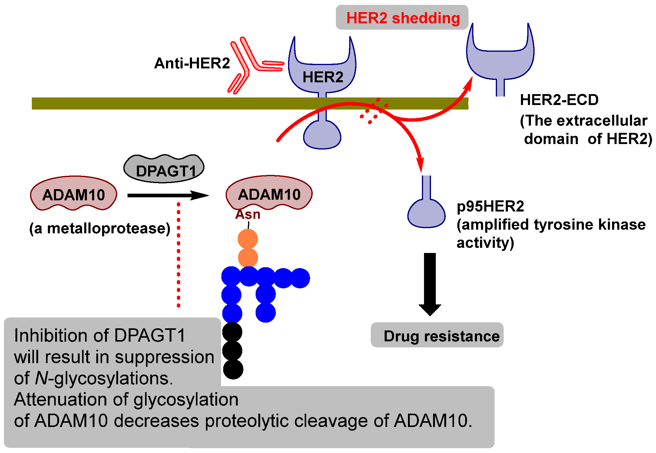 Molecules 30 04049 g006