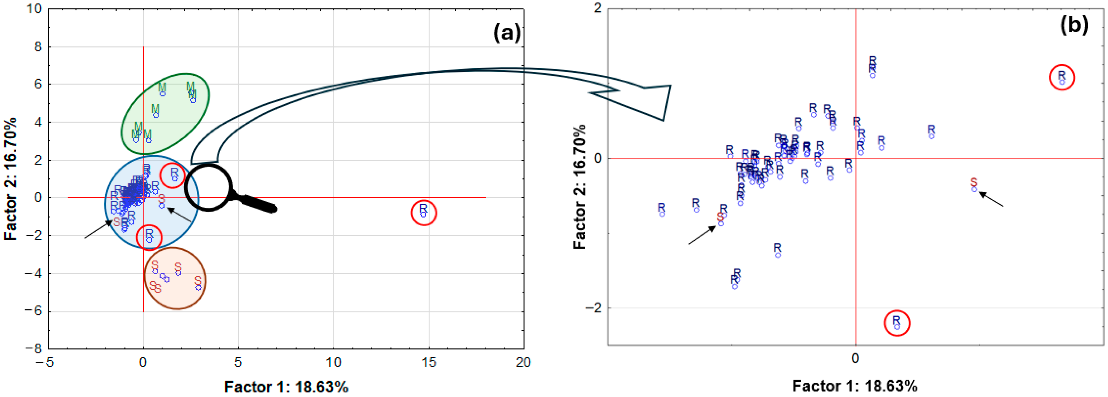 Molecules 30 04050 g013